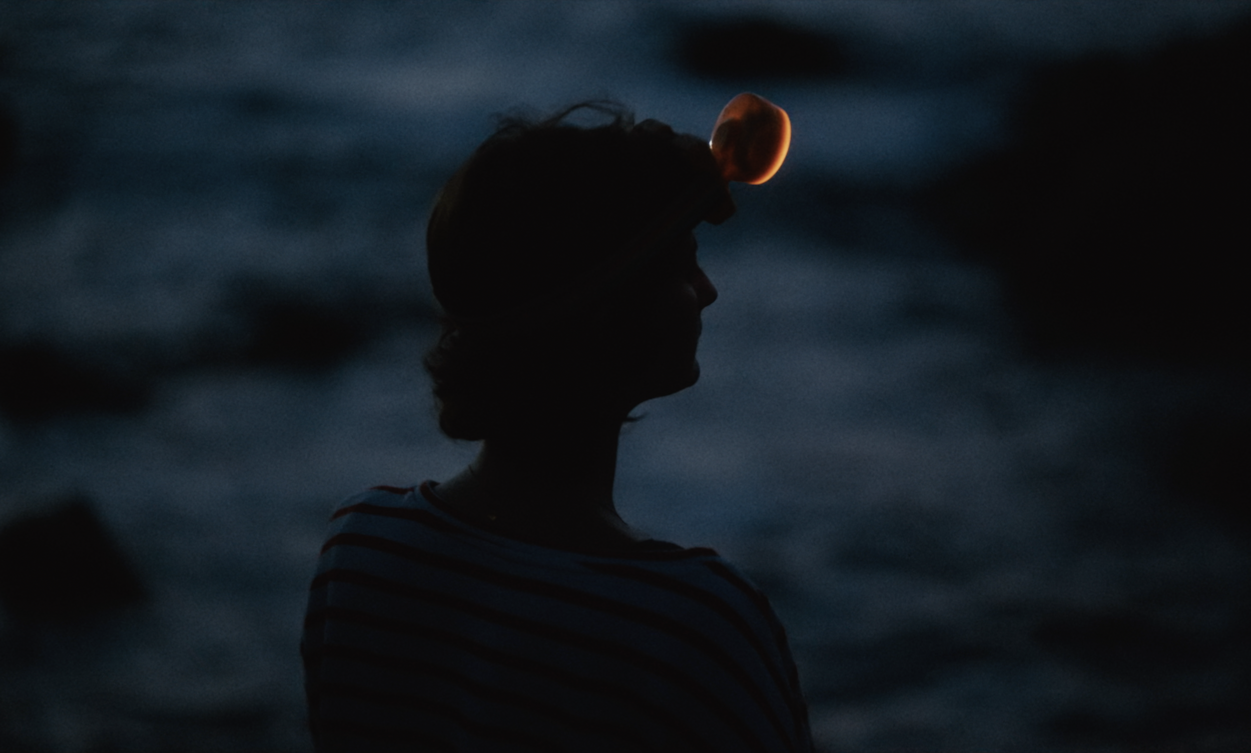 Capture d’écran 2026-01-17 à 15.40.13.png