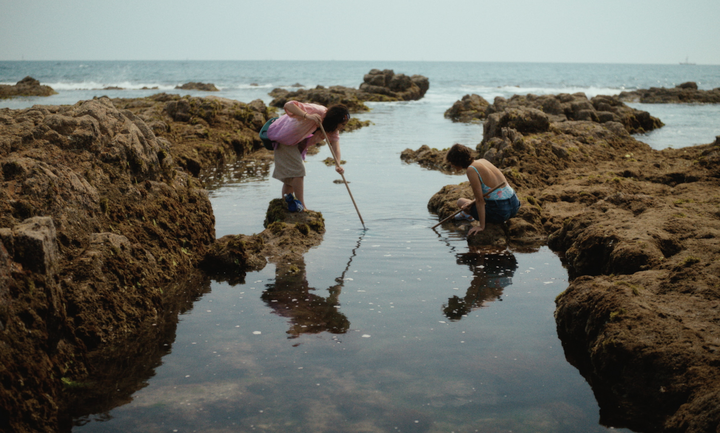 Capture d’écran 2026-01-17 à 15.19.09.png