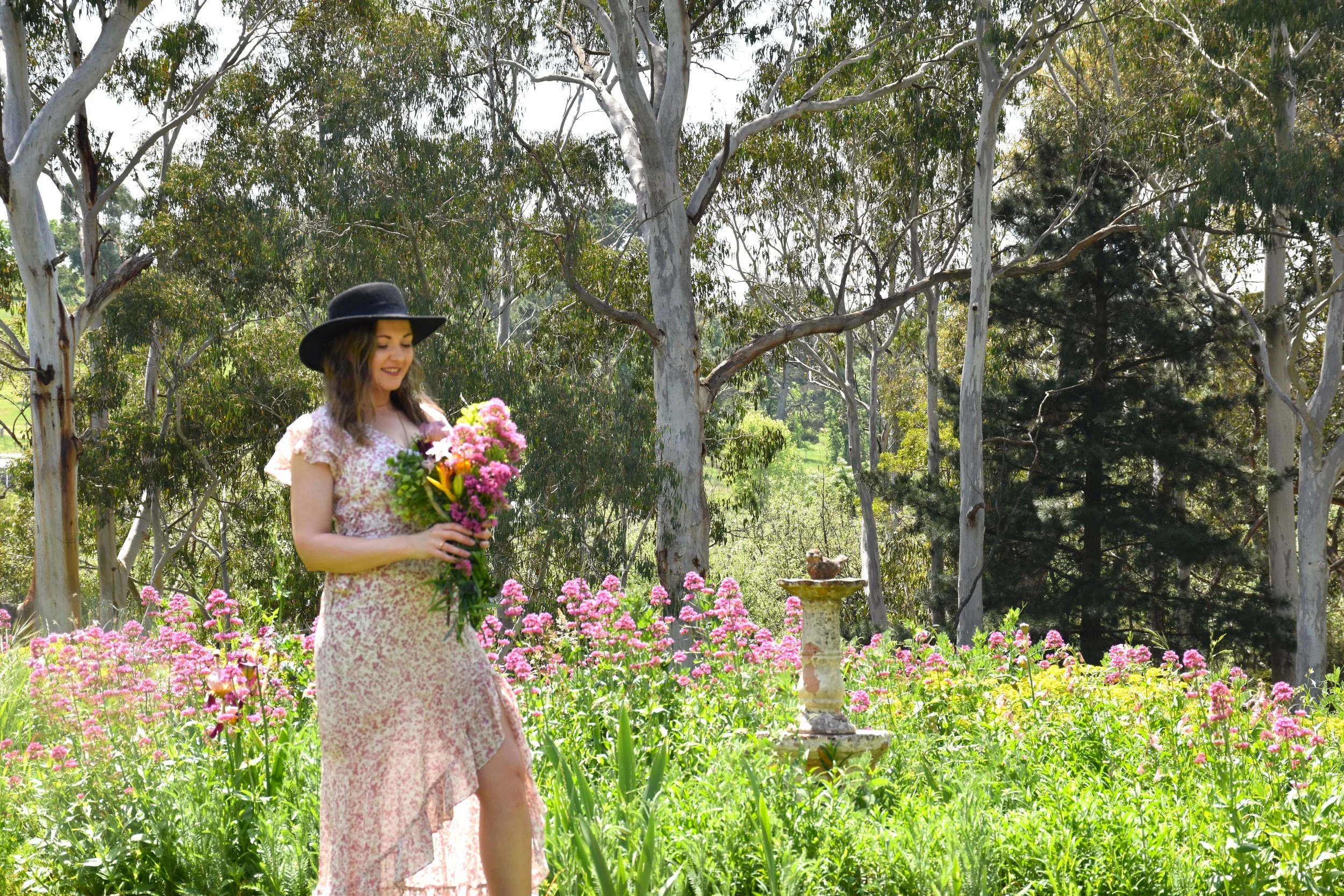 looking downn at boquet.JPG