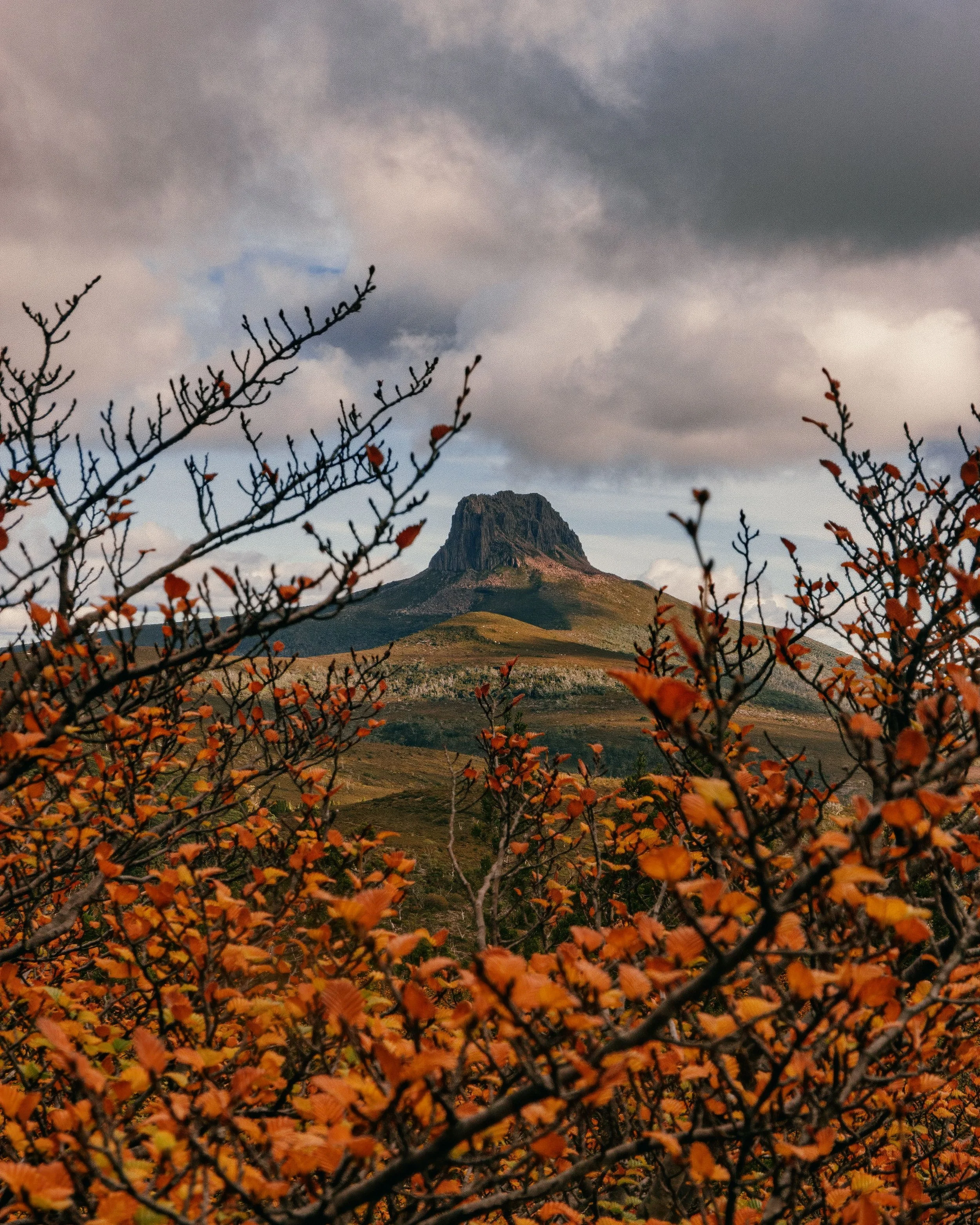 A mountain with a dramatic, rugged peak surrounded by cloudy skies, framed by orange and red autumn leaves in the foreground.