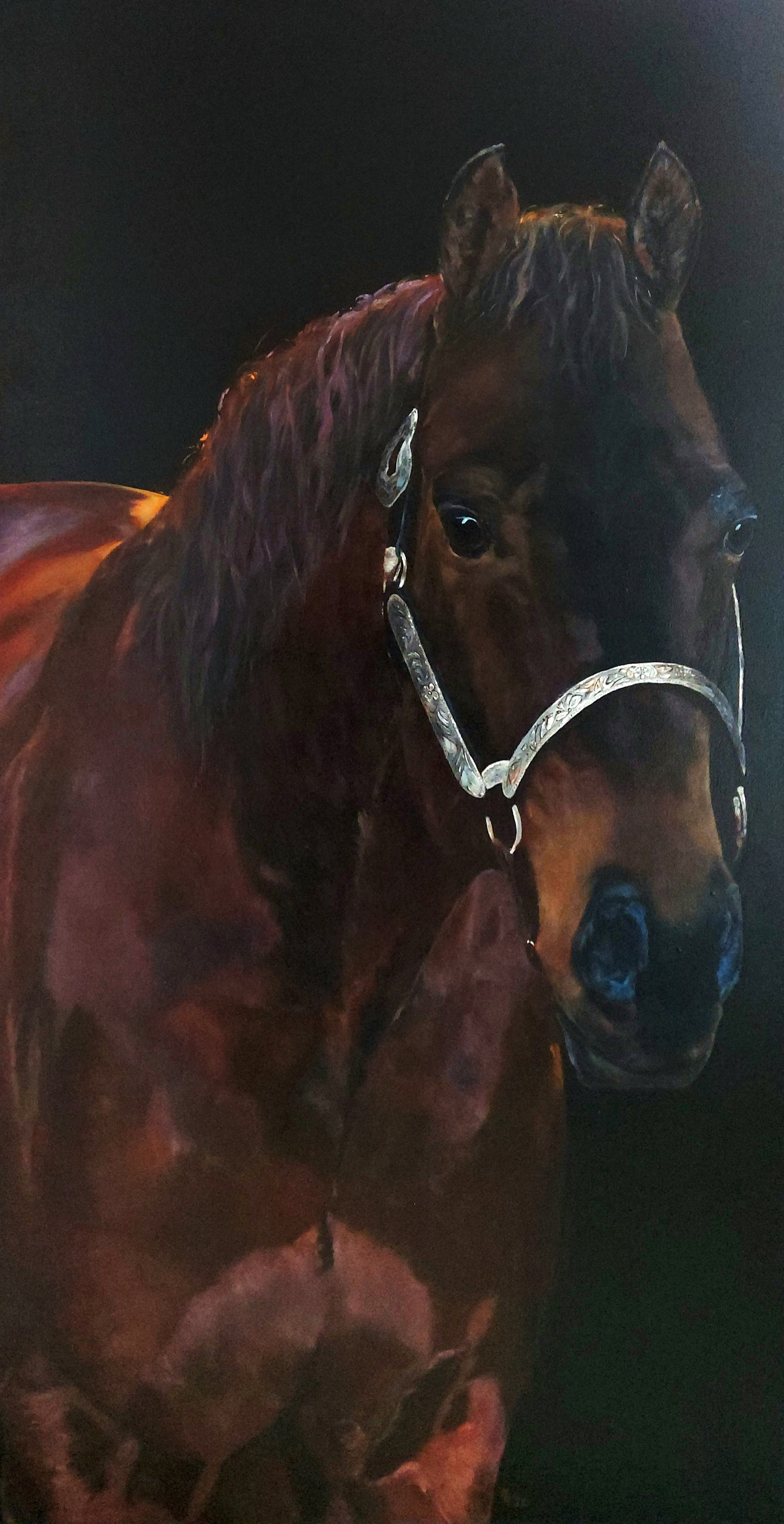 "The silver show halter"
60 x 120 cm olieverf  - prive 