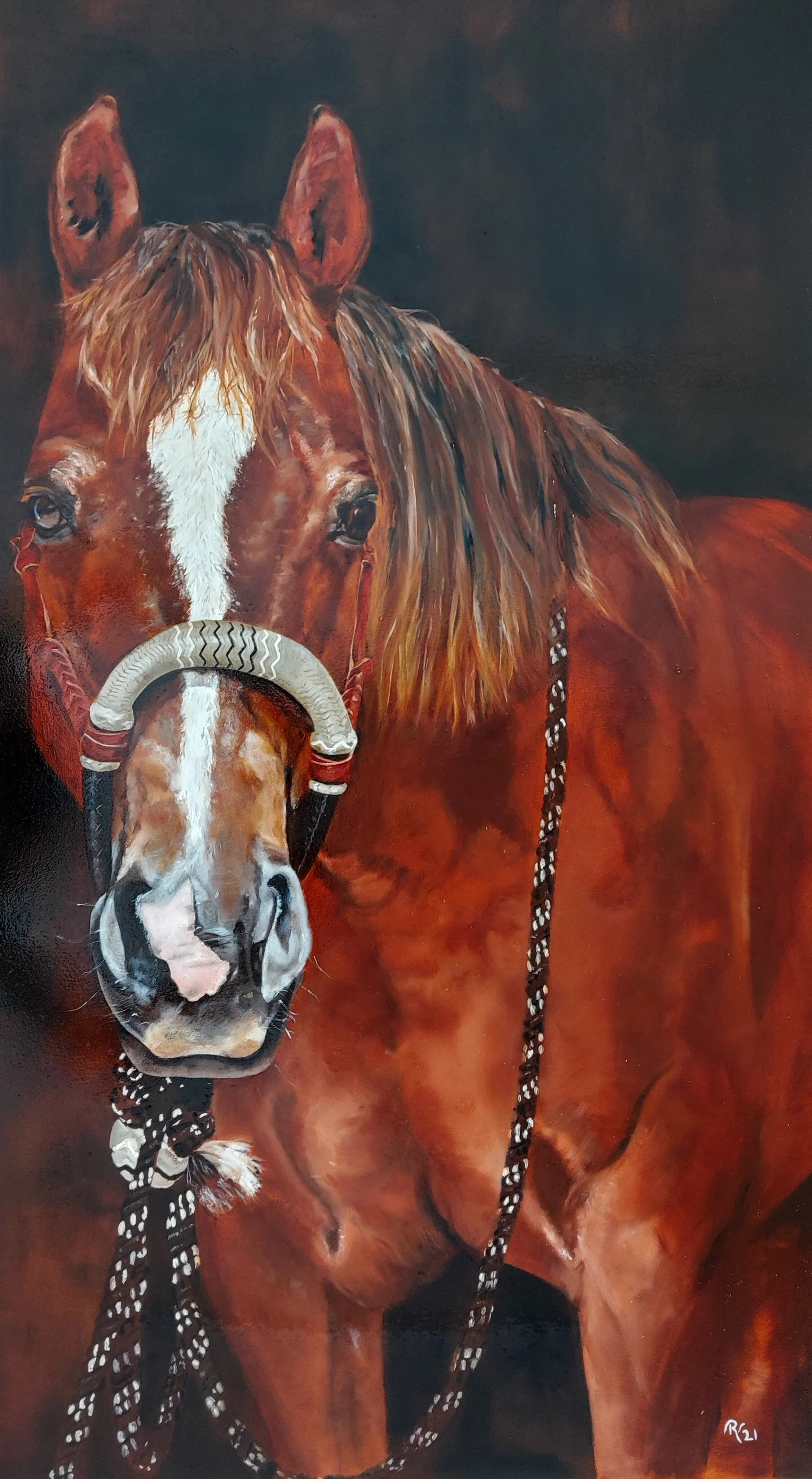 "De western Bosal"
60 x 120 cm olieverf -  prive 