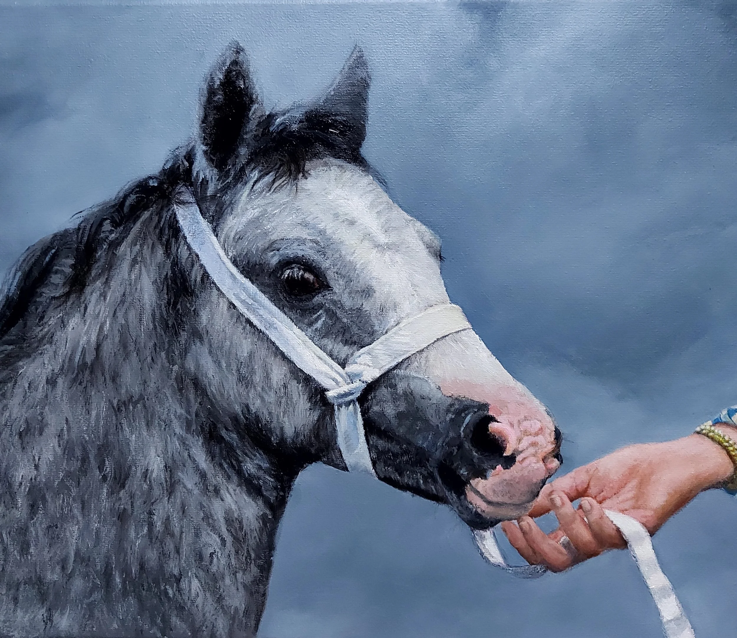"Looking for mom" 
80 x 60 cm olieverf - te koop 
Welsh Pony and Cob Show 2024