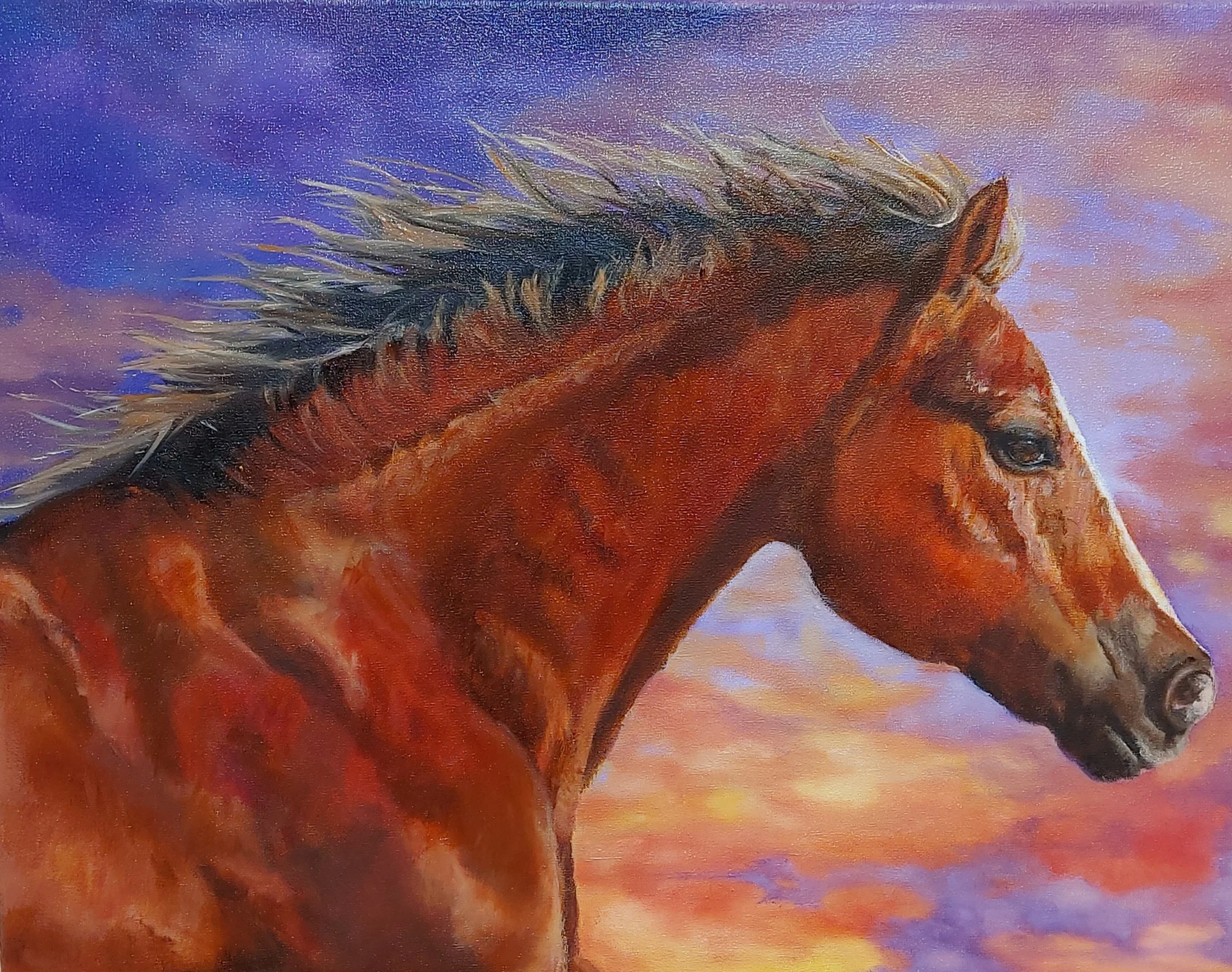 "Magic sunset"
50 x 40 cm olieverf  - prive 

