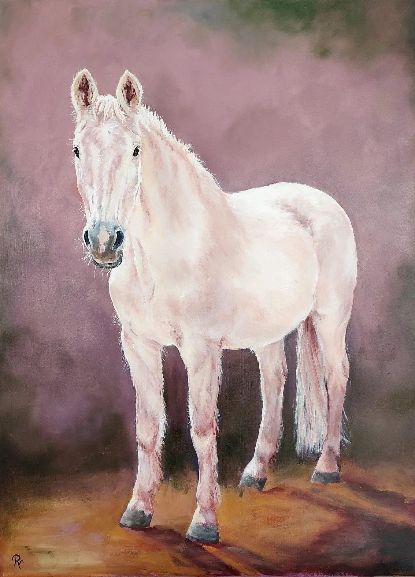 "Contact" 
60 x 80 cm olieverf - te koop -
Idool,  Paardenkamp Soest 2024