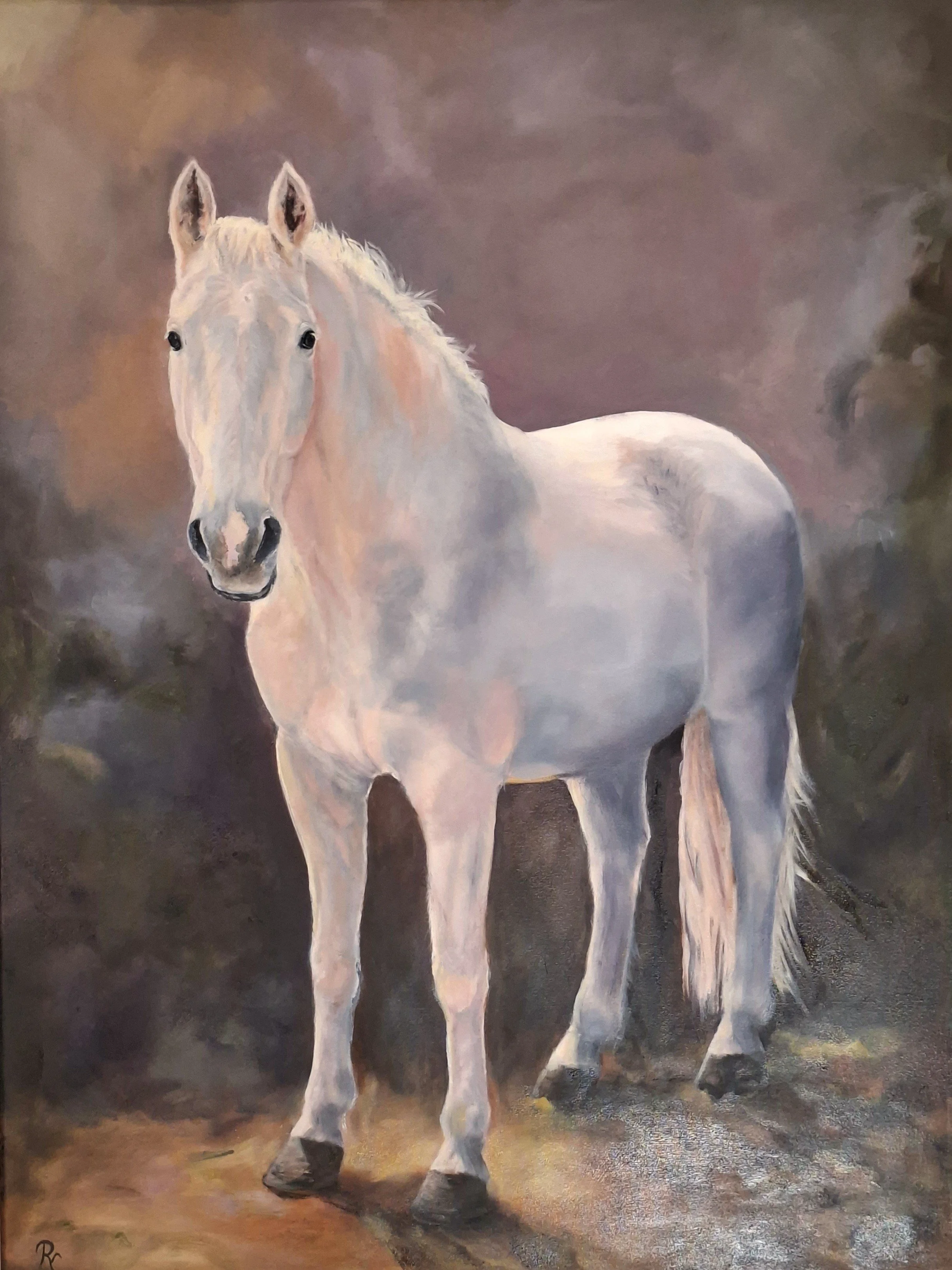 "Contact" 
60 x 80 cm olieverf - te koop -
Idool,  Paardenkamp Soest 2024
