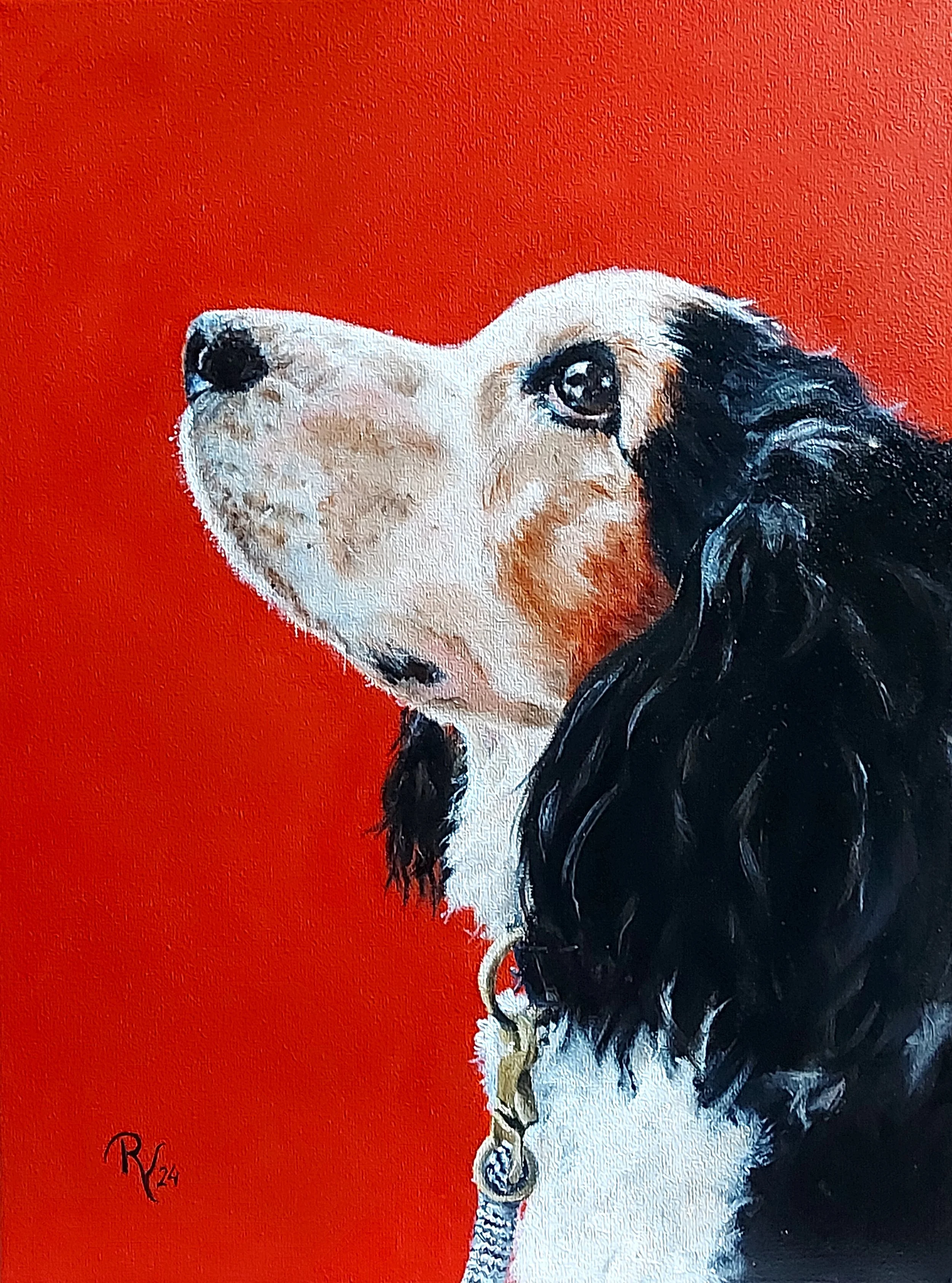 "Jan"
30 x 40 cm  olieverf - opdracht