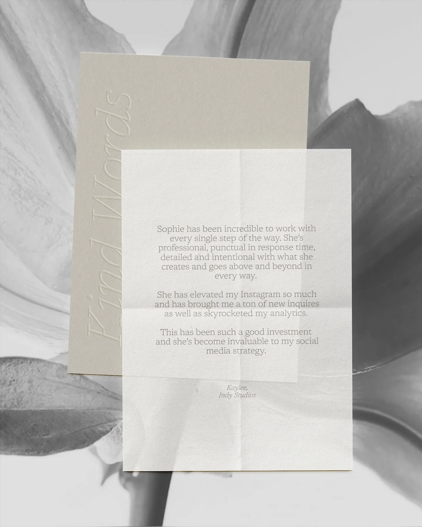 It really means a lot reading these kind words 🤍

It&rsquo;s such a reminder of why I love the work I do and the relationships that come with it.

I&rsquo;ve got a couple of spots opening in January, so feel free to get in touch if you&rsquo;d like 