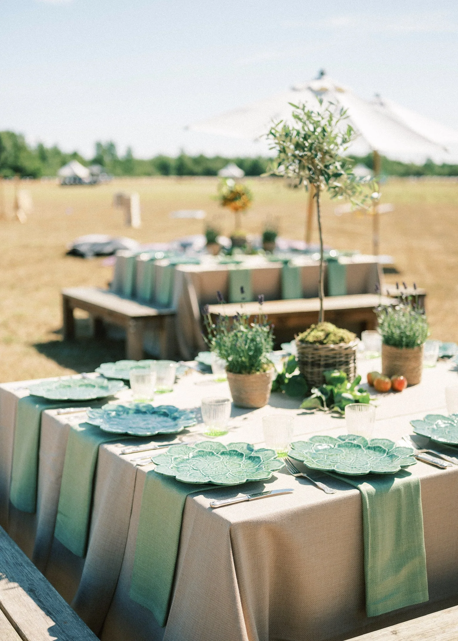 chewton glen wedding planner activities day.JPG