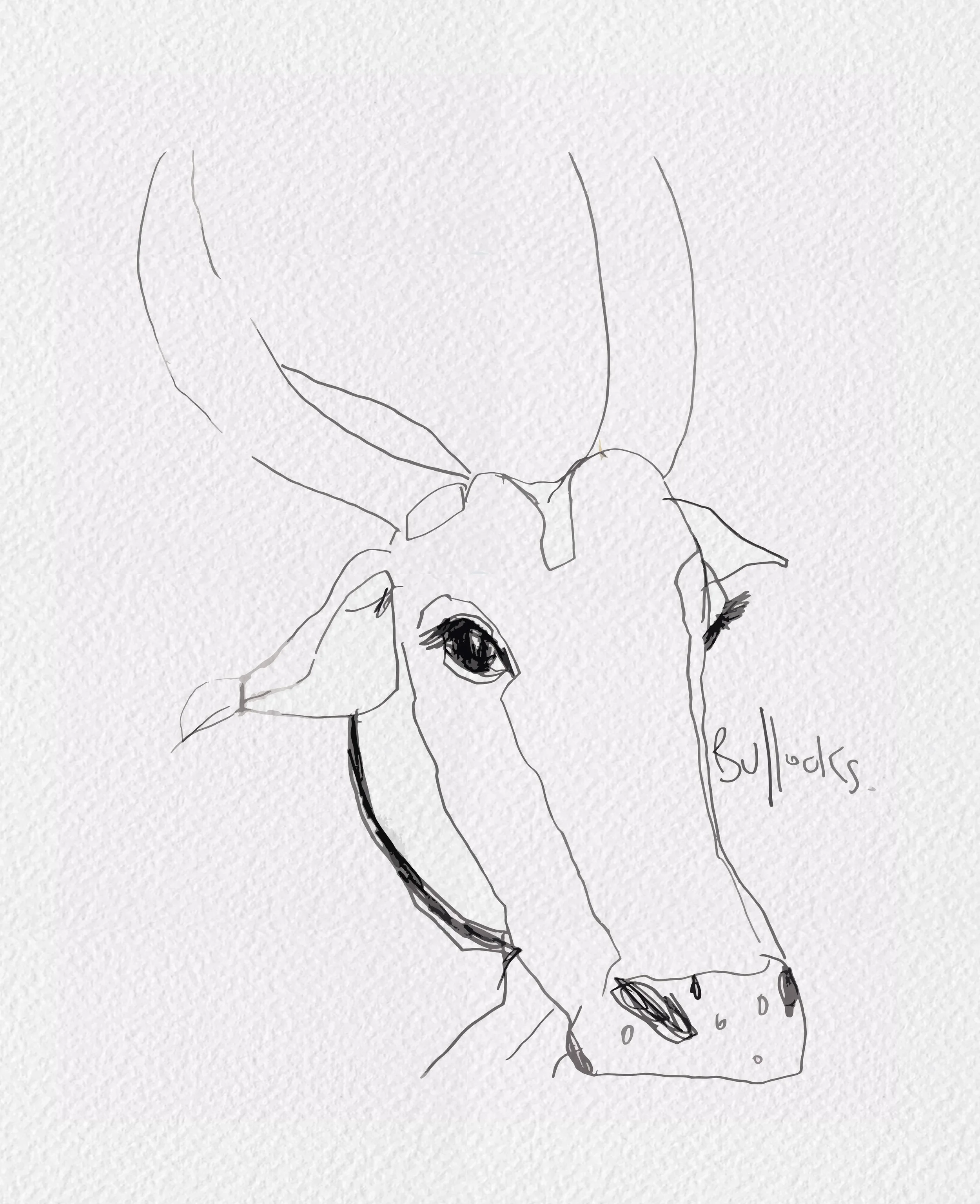 Bullocks v03.jpg