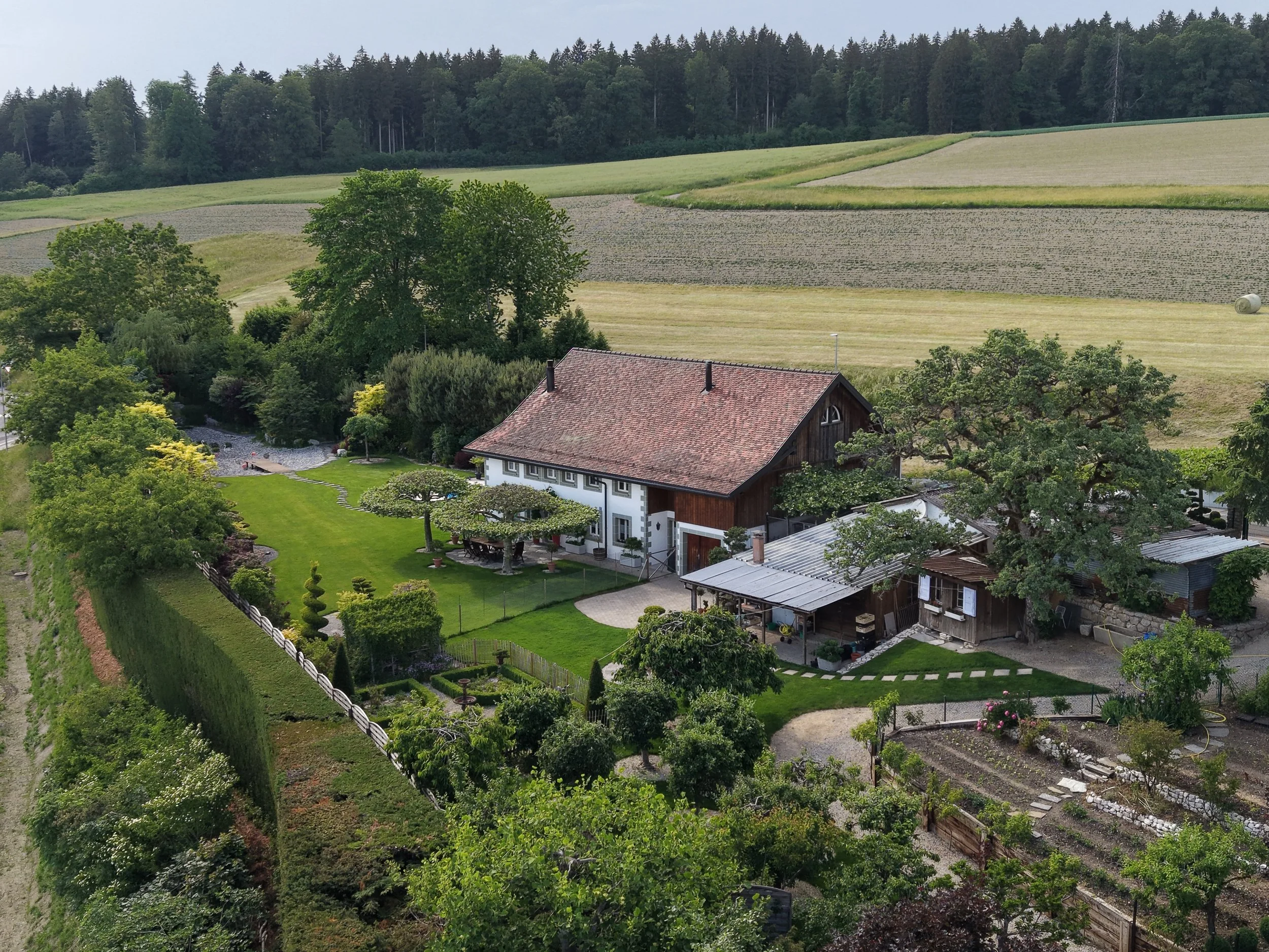DJI_20260526174506_0028_D.JPG