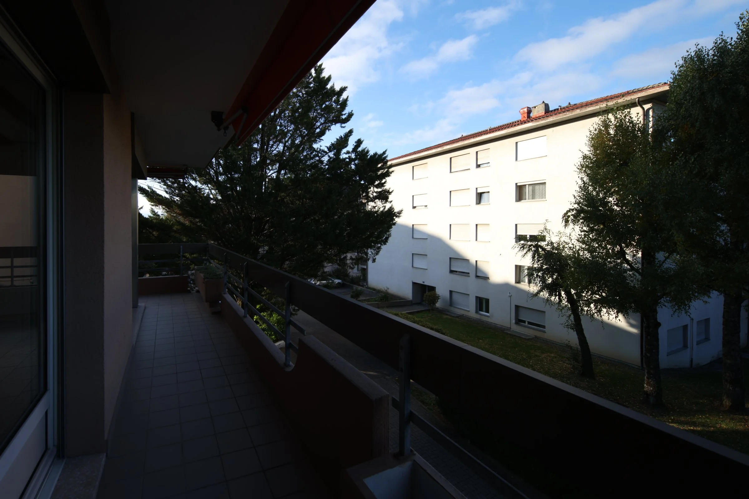 YLF_3044.JPG