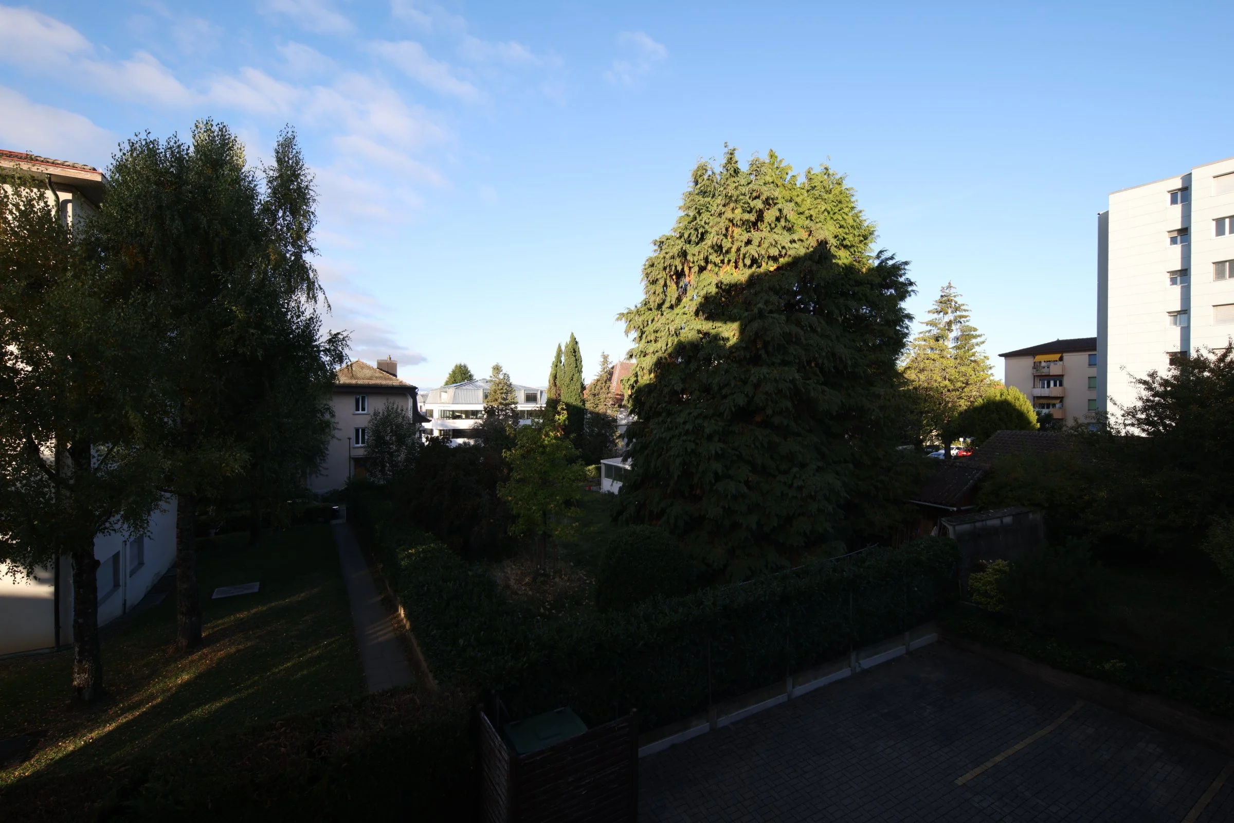 YLF_3050.JPG