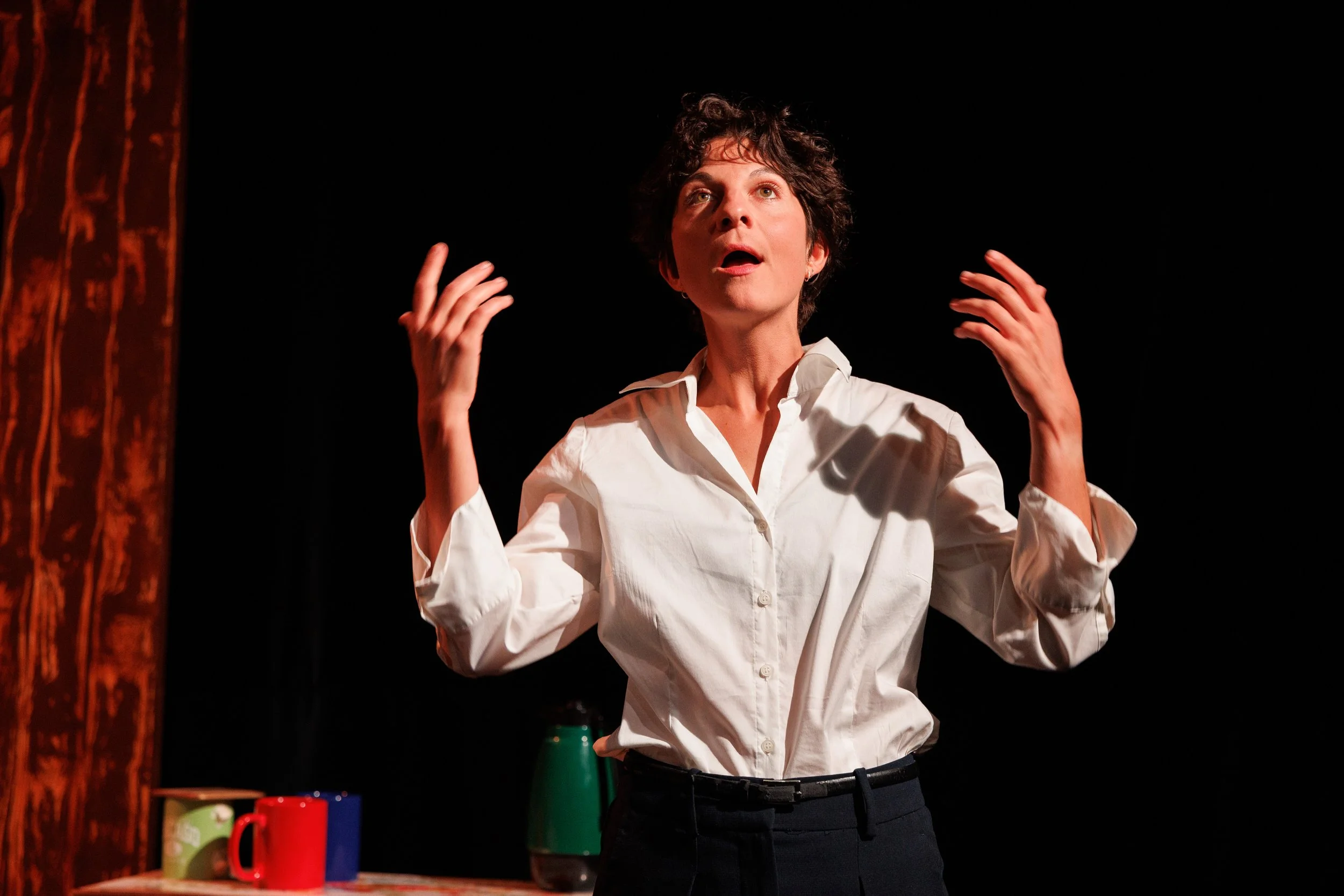 Ciel Dégagé_Compagnie La Marelle_2026@YanakLopez_WEB-27.jpg