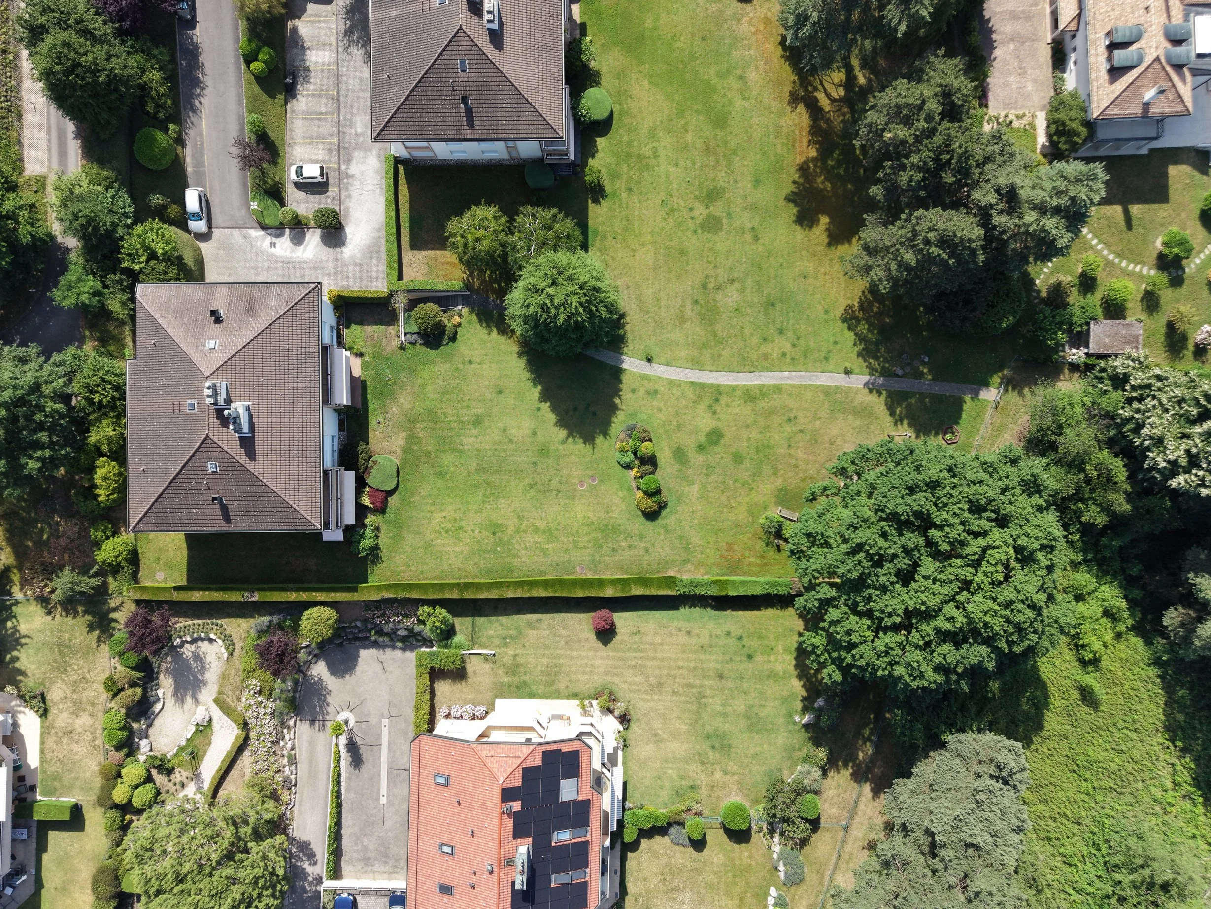 DJI_20260617101244_0025_D.JPG