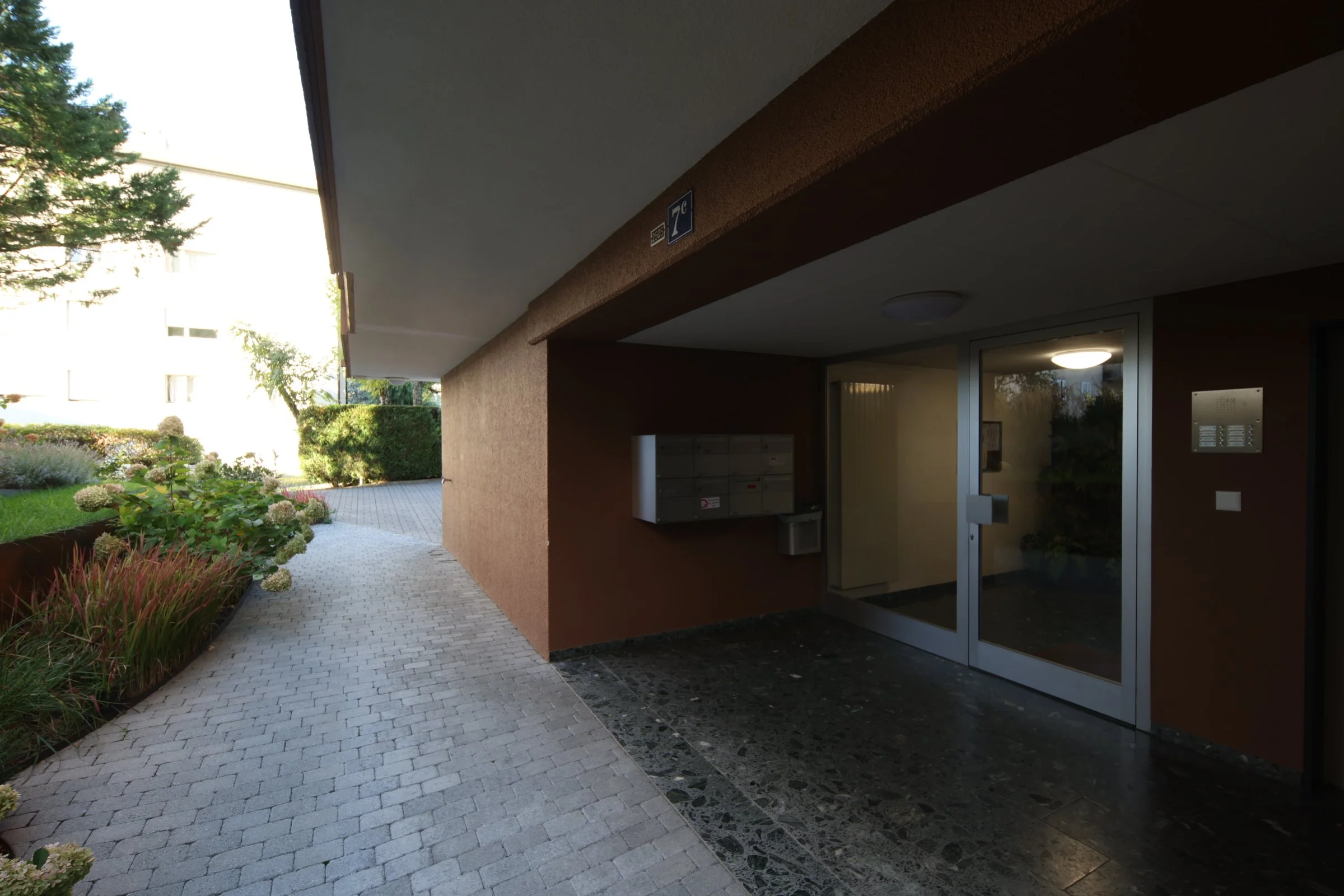 YLF_3062.JPG
