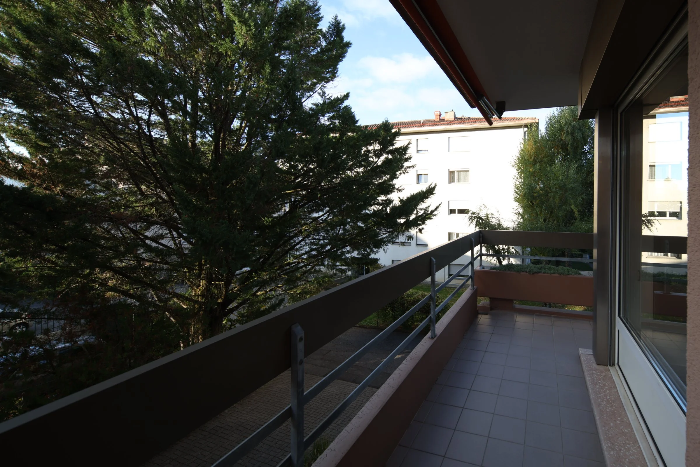 YLF_3047.JPG