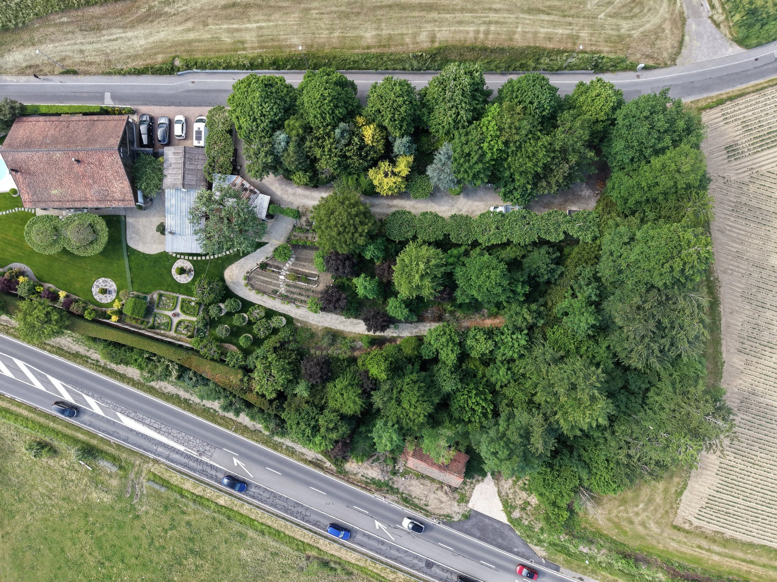 DJI_20260526174345_0025_D1.JPG