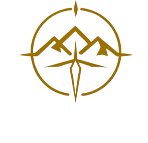 True North Insights compass logo