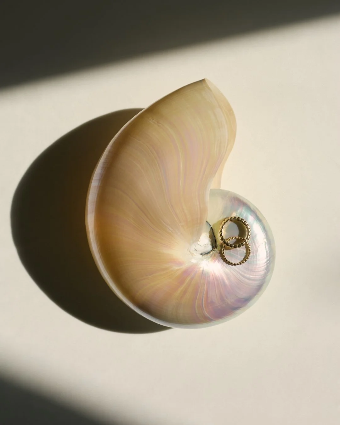 Photo of shell with hoop earrings, photo art direction by LETTER A
