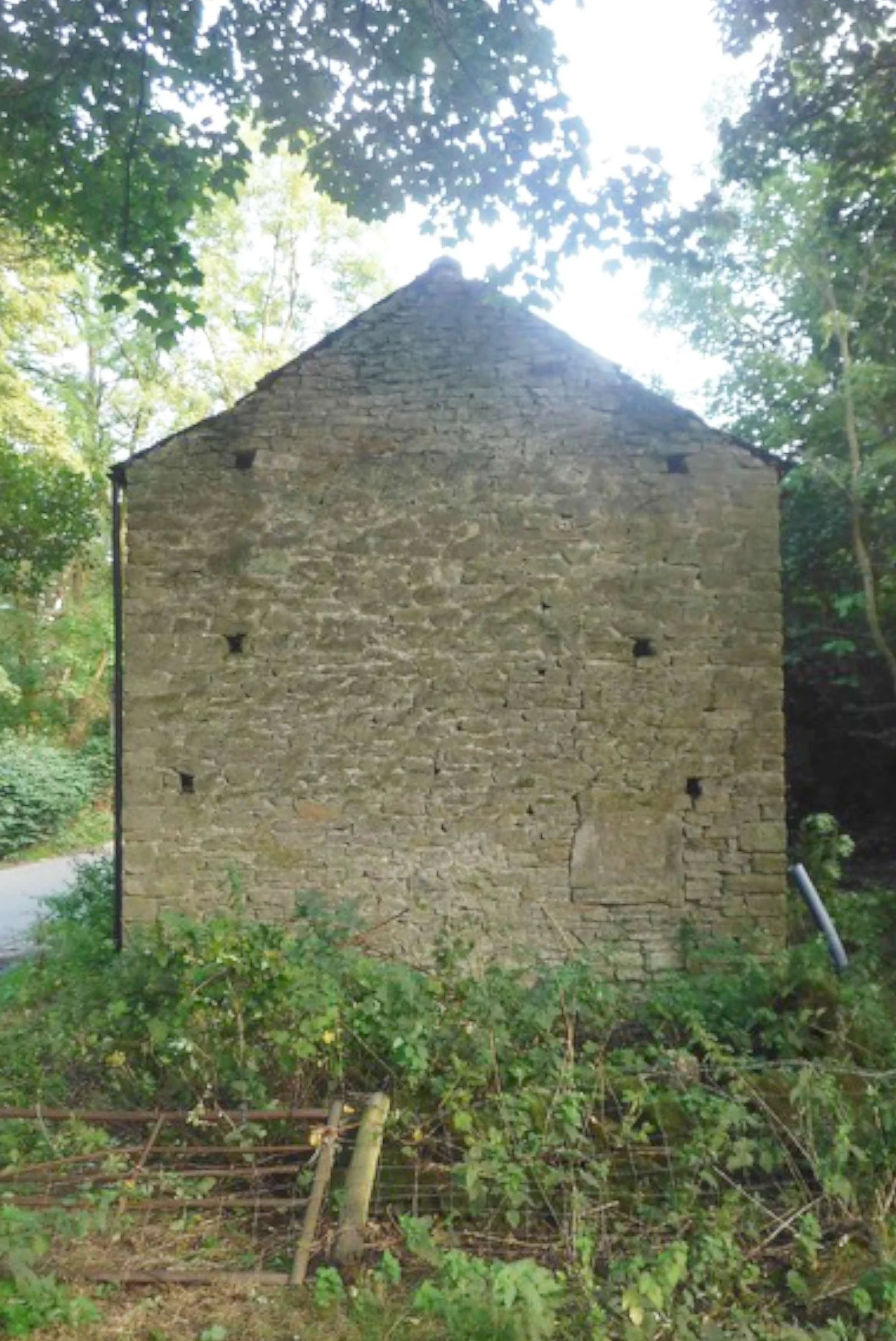 Gritstone gable end of an existing peak district field barn surrounded by greenery