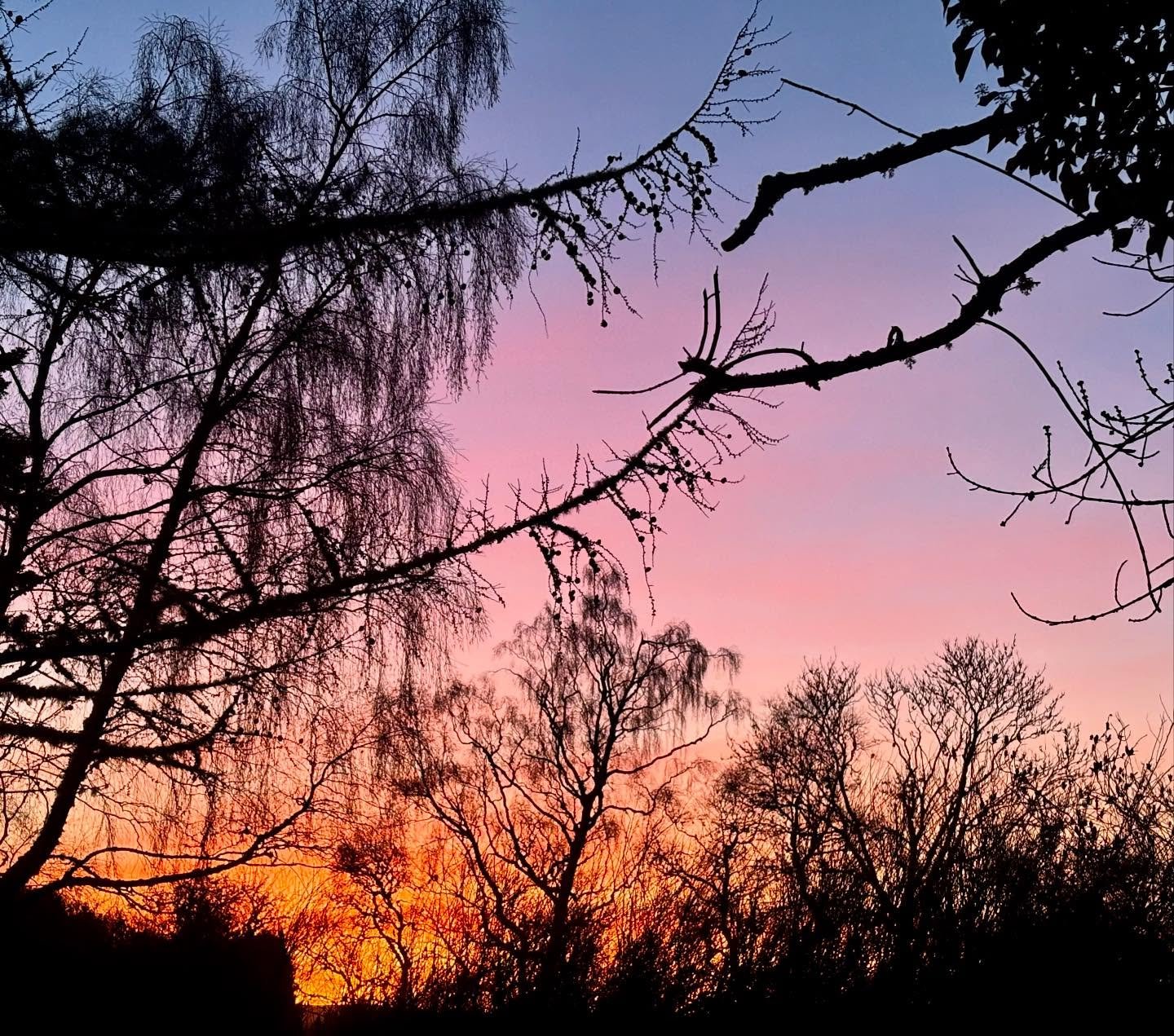 This made me get up from my desk!!! @greengroveweavers beautiful colours, inspiring nature! Wraparound gorgeous! New throws and scarves coming right up!

#inspiration #beautifulmoray #madeinscotland #sunset #lovecolour