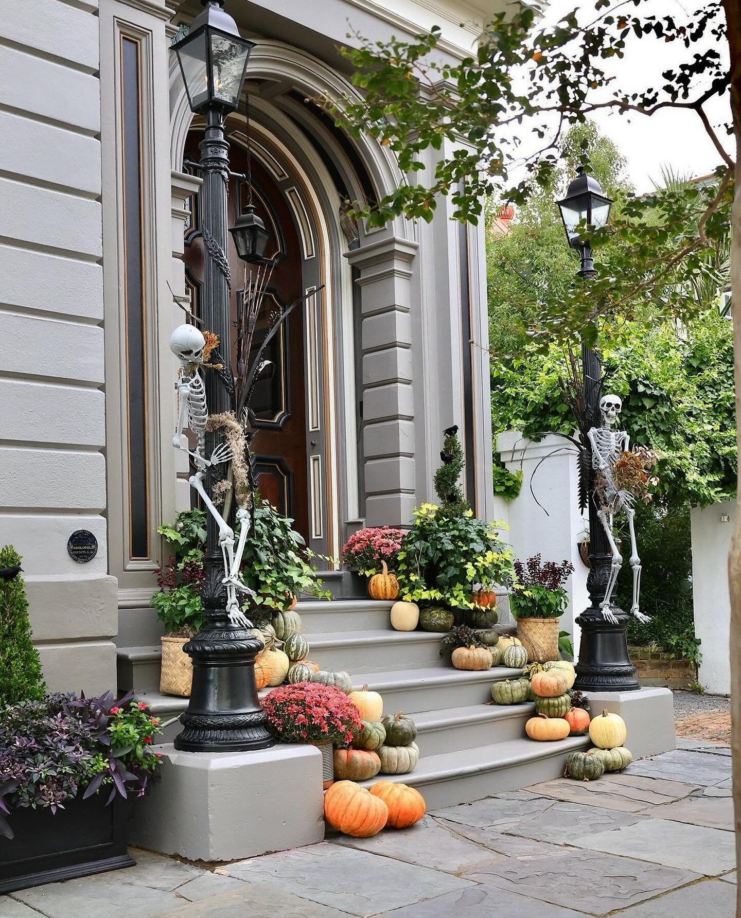 We&rsquo;re absolutely loving the fall vibes our charming city is giving! 🍂🎃 We can&rsquo;t wait to see what the Christmas season has in store. Stay tuned for our exciting new holiday arrivals! 🎁

📸 @explorecharleston
