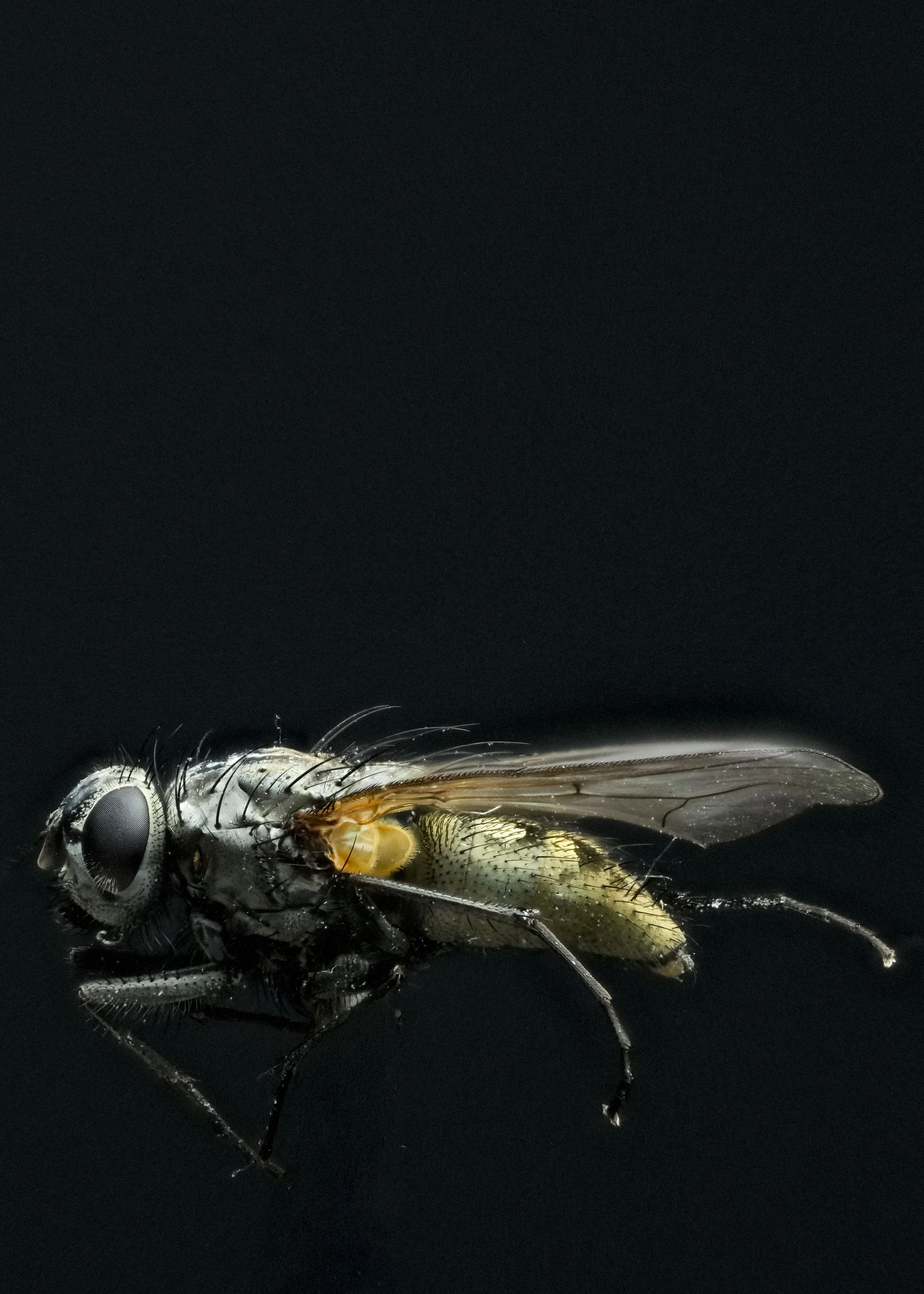 2025-12-22 11-49-16 (C,S4).jpg