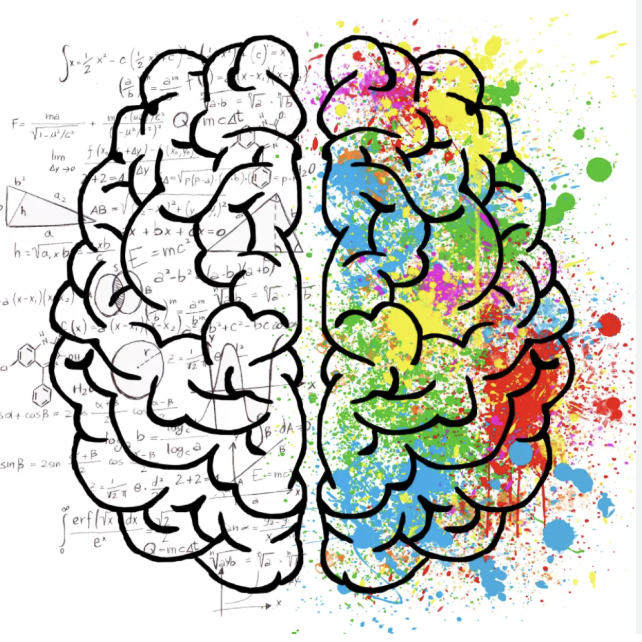 picture of logical left brain and colorful, creative right brain