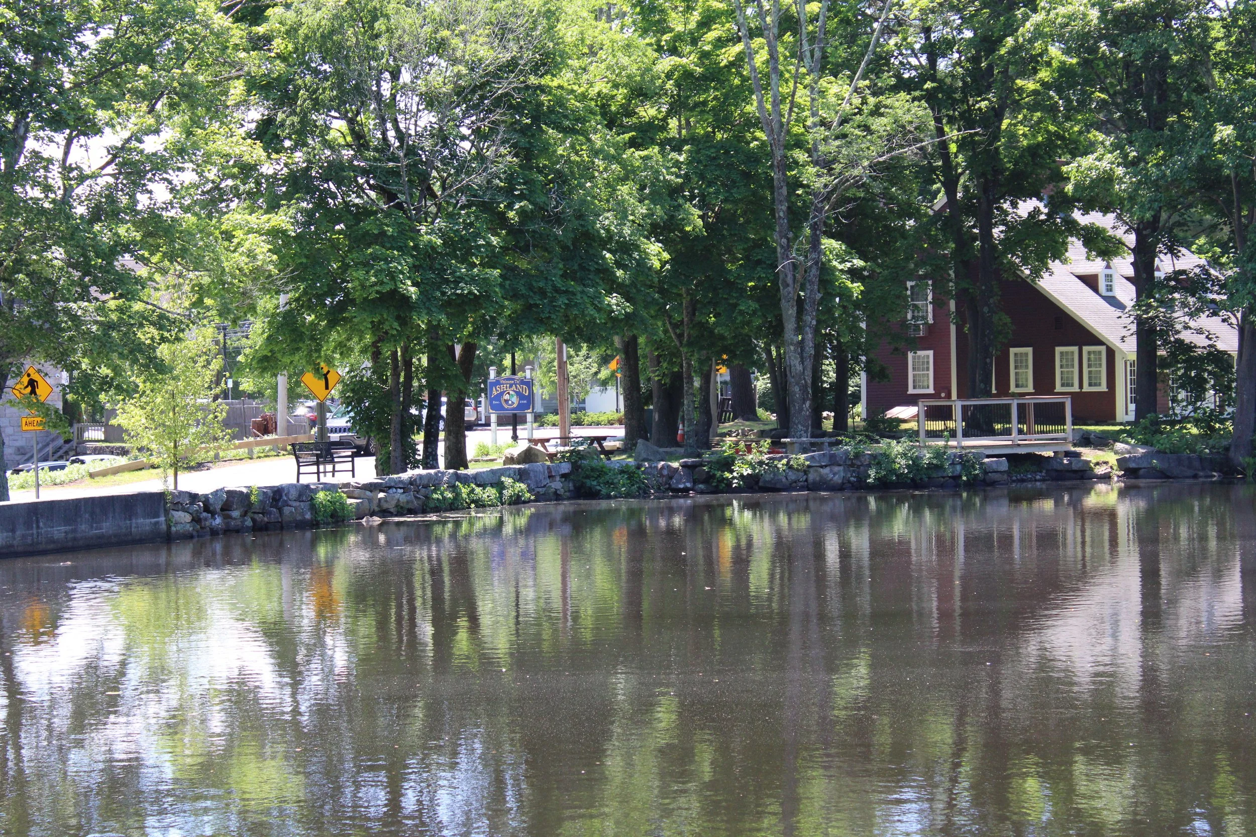 Copy of IMG_2343.JPG