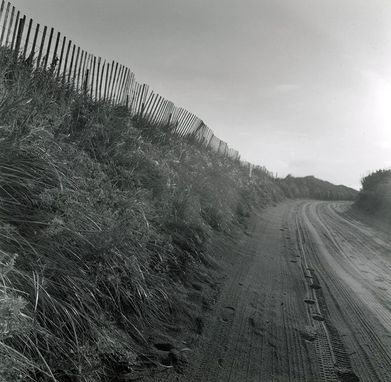 Aboiteau Fence and Road ONLINE.JPG