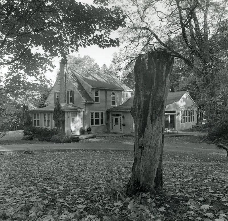 Hammock Tree at Home 2024 ONLINE.JPG