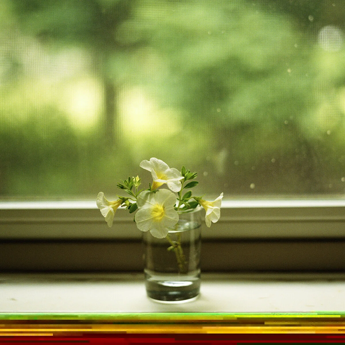 Flowers on Kitchen Sill_72dpi.jpg
