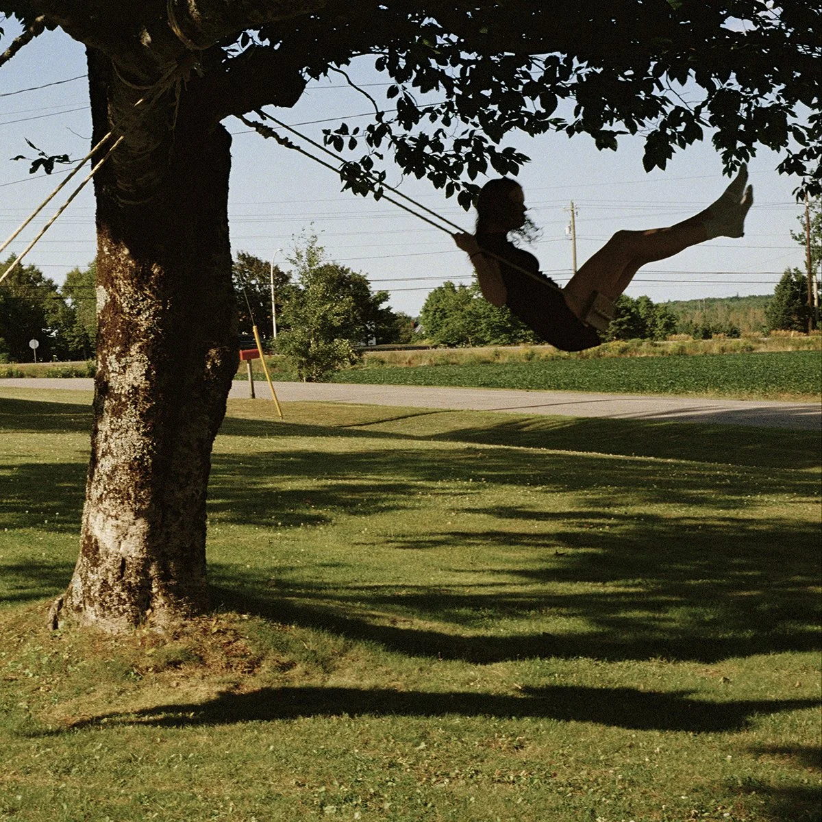 SH on Swings_72dpi.jpg