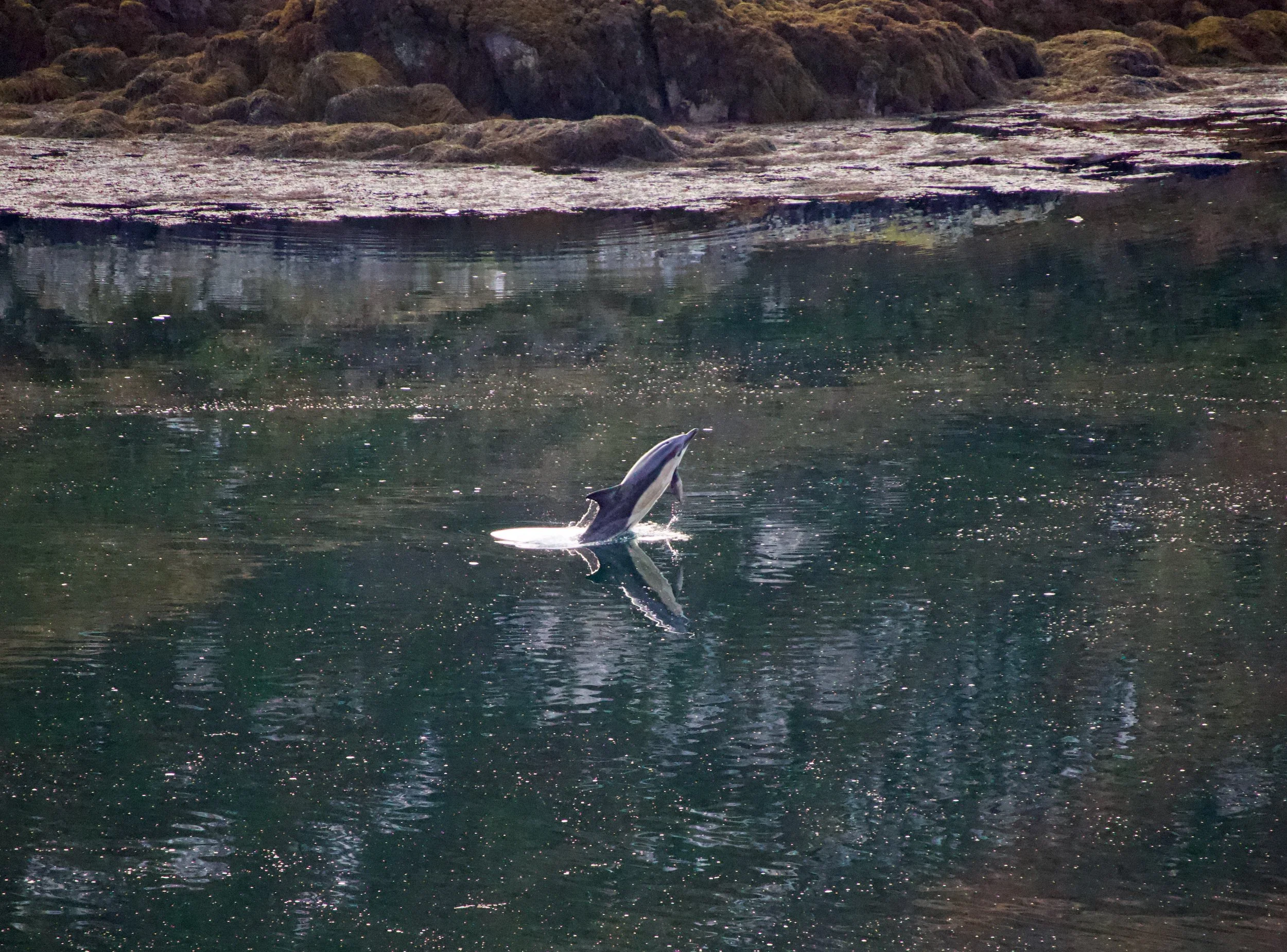 2025-12-23 12.35.30.jpeg