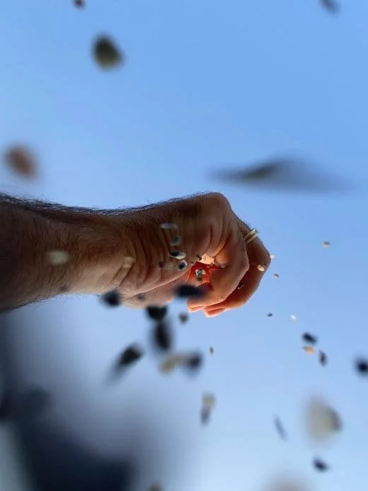 Loslassen - Aufgeben - Hingeben