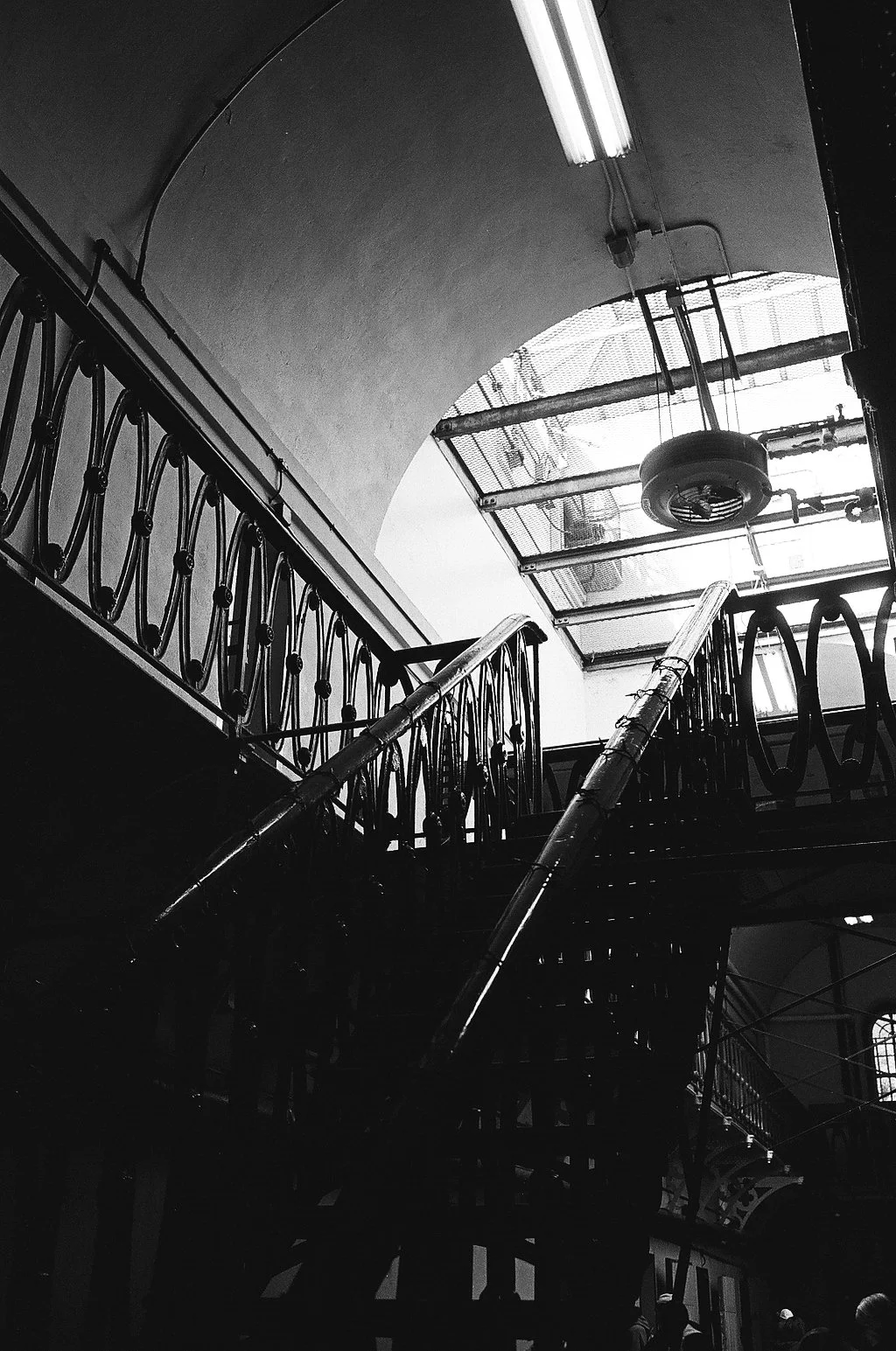 Kodak Tri X 400_13.jpg