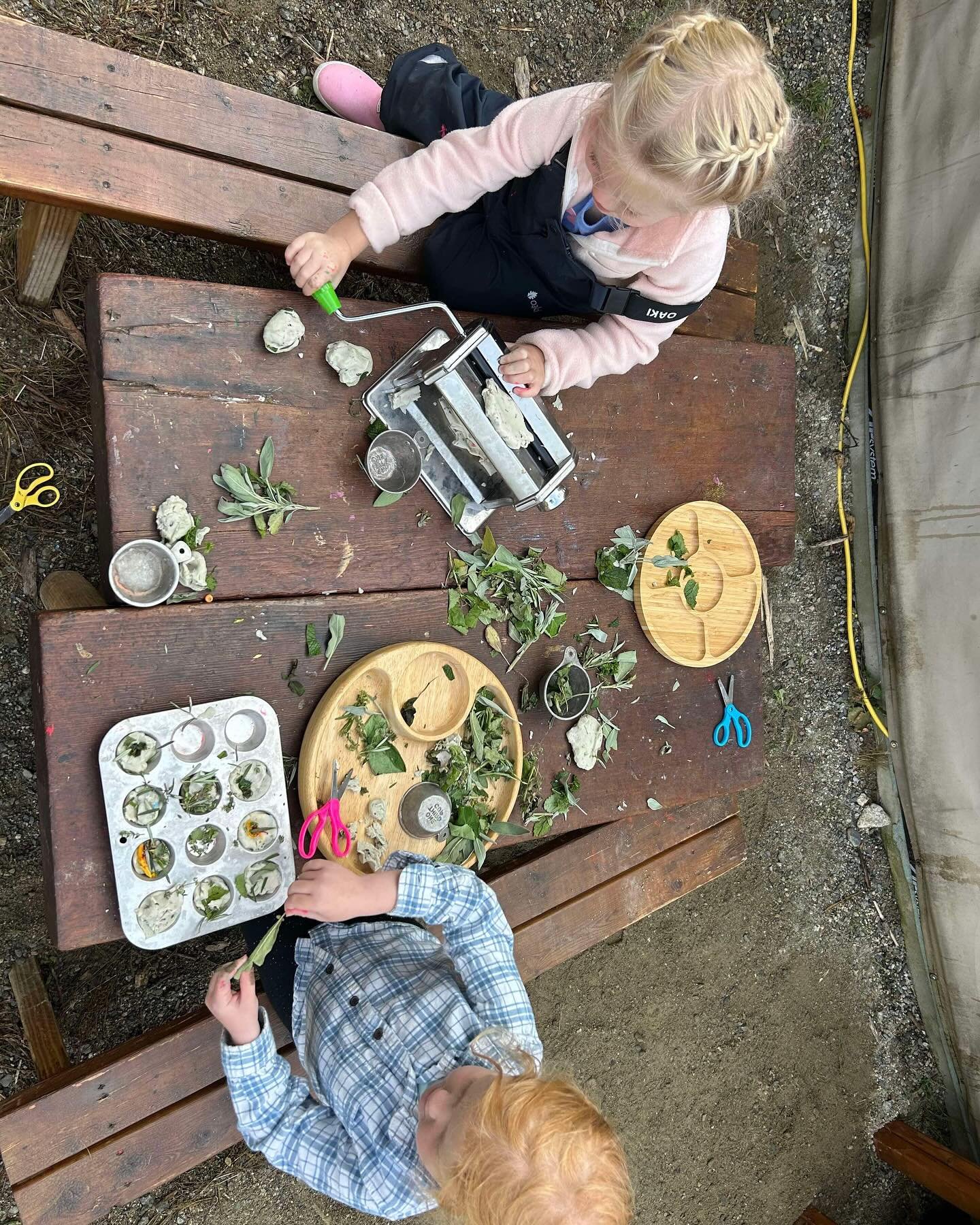 Our first 5 day week!

We&rsquo;ve been busy over here- take a look at the fun we&rsquo;re having and don&rsquo;t forget to vote for us at the Littleton Food Coop if you are a member starting on Saturday ⭐️