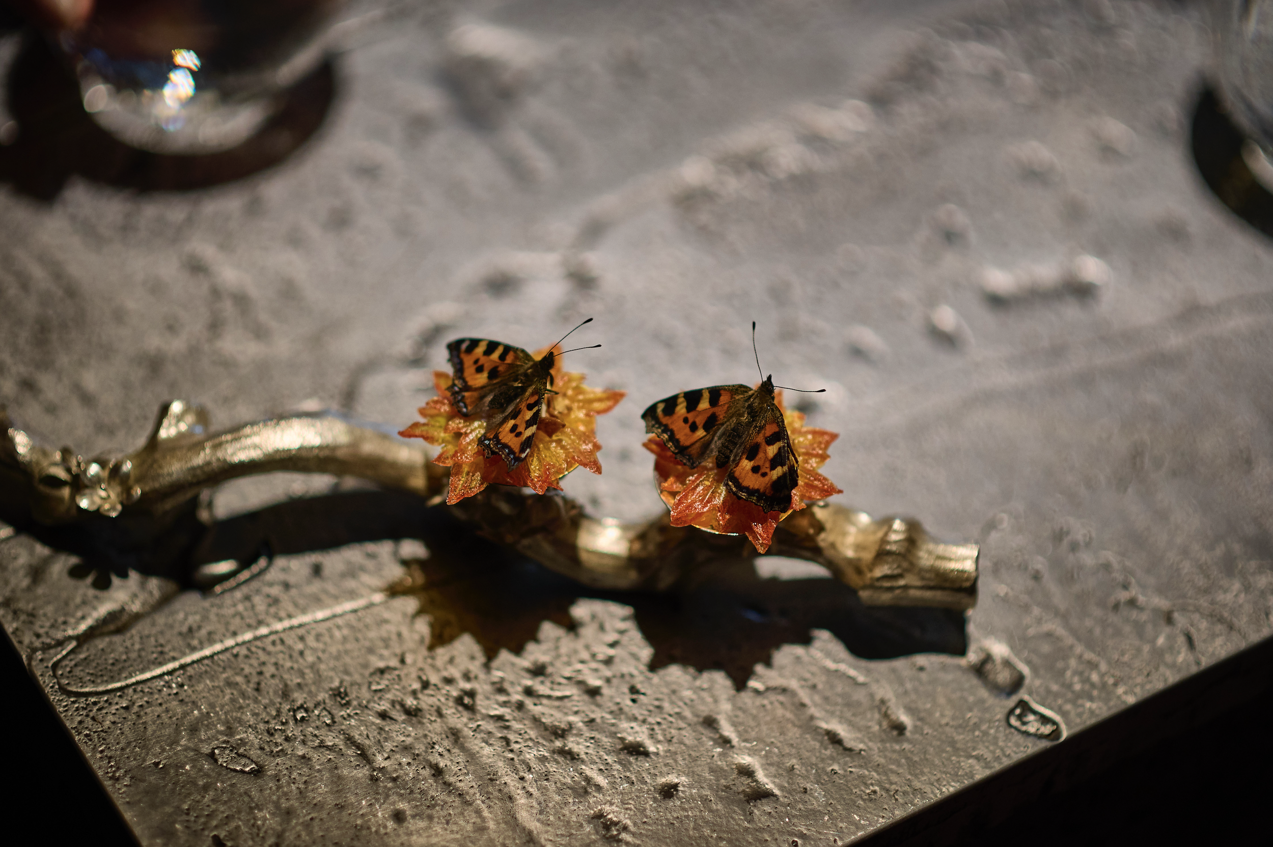 Butterflies made edible