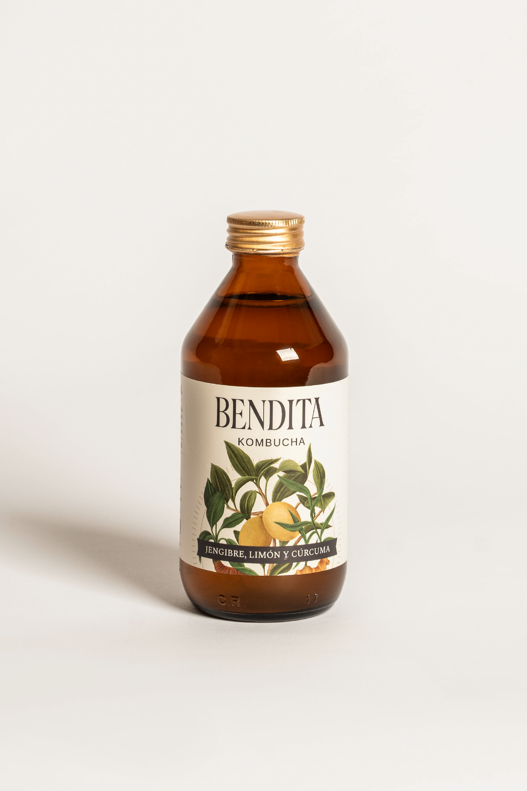 BENDITA_WEB-B03.png