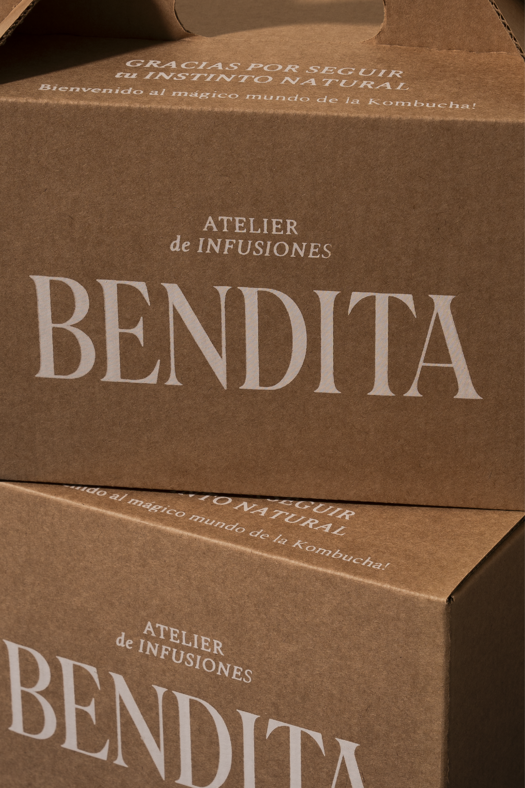 BENDITA_WEB-B02.png