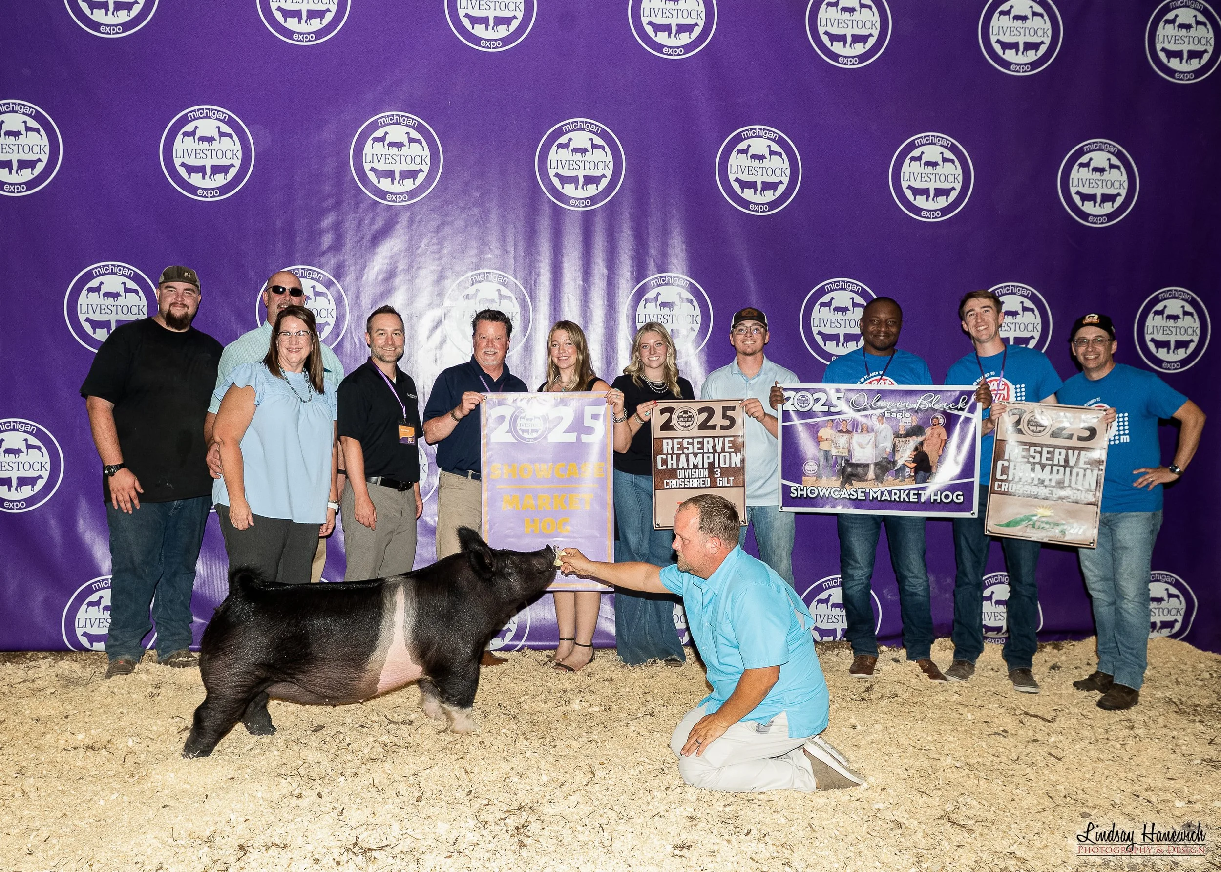 2025 MLE Saleabration Showcase Market Hog Shown by Olivia Black