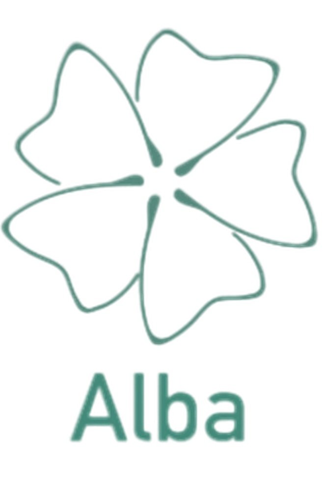 Association of Investors in Infrastructure - Page