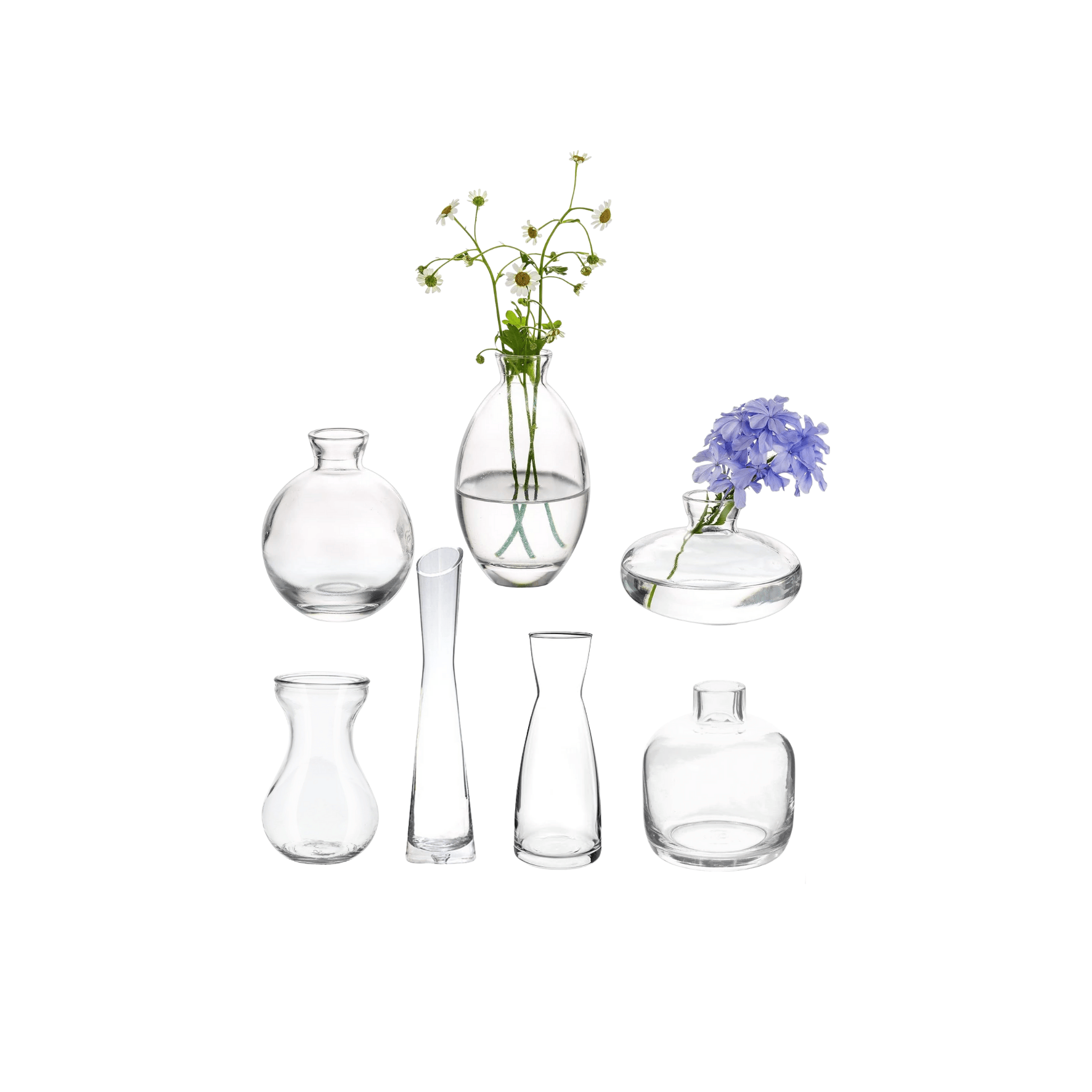 Single Stem Vase - Variety