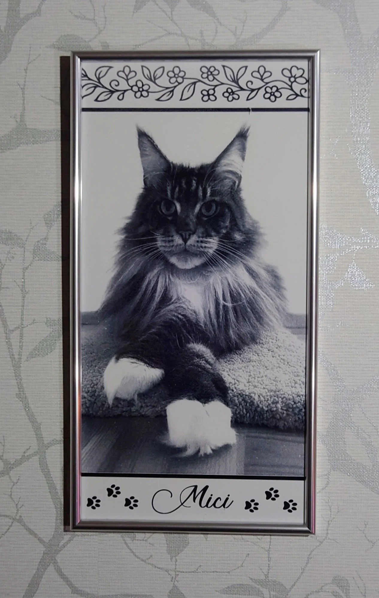 2025-09-09 16.43.12-2.JPG