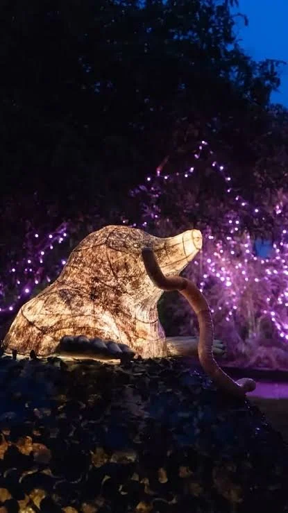 Heligan Night Garden 2026: Dates, Tips and Where to Eat Nearby