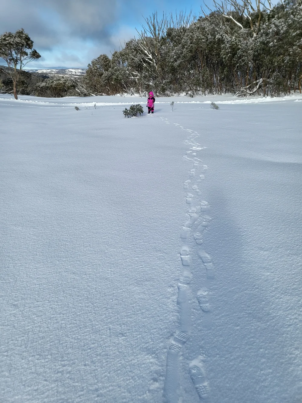 WhatsApp Image 2024-07-01 at 00.01.38.jpeg