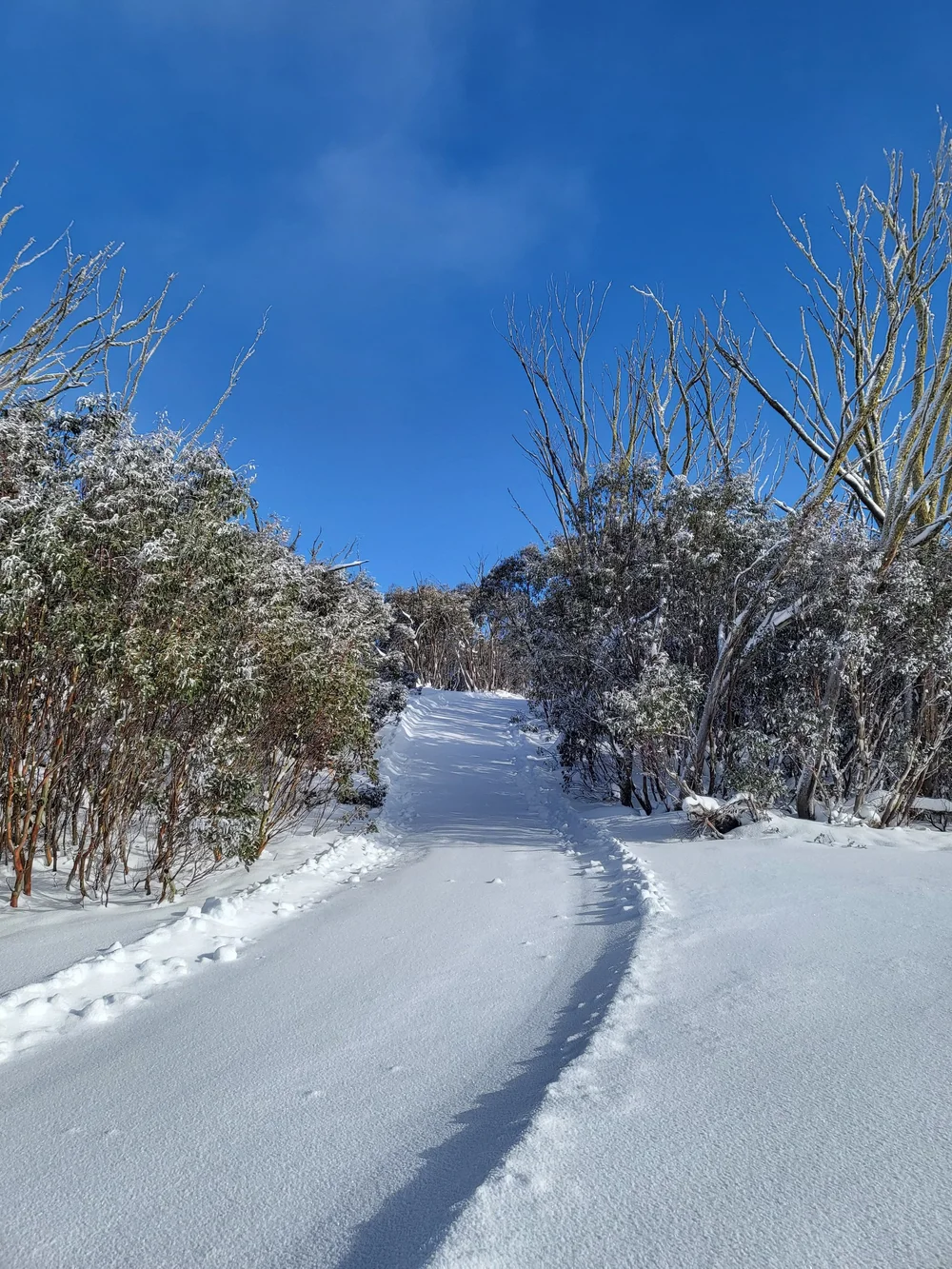 WhatsApp Image 2024-07-01 at 00.01.40.jpeg