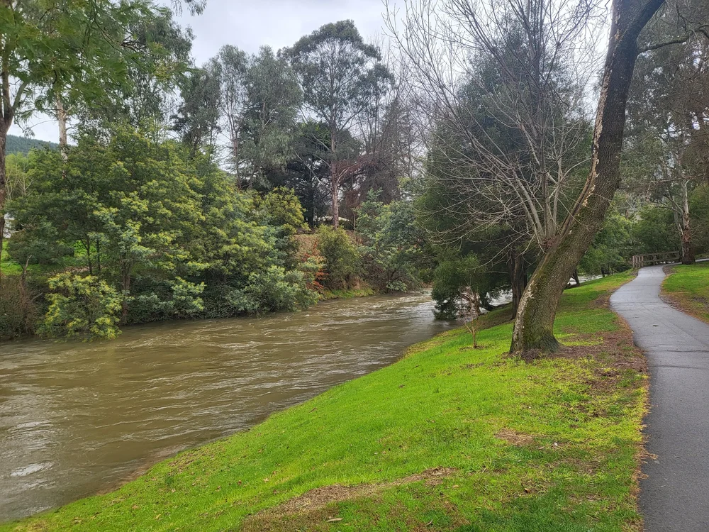 WhatsApp Image 2024-07-01 at 00.01.35.jpeg