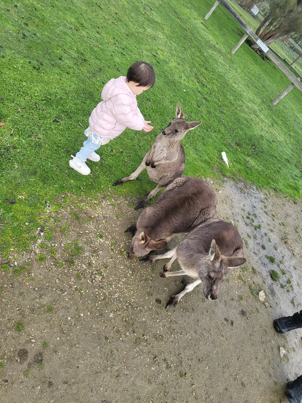 WhatsApp Image 2024-07-01 at 00.01.30.jpeg